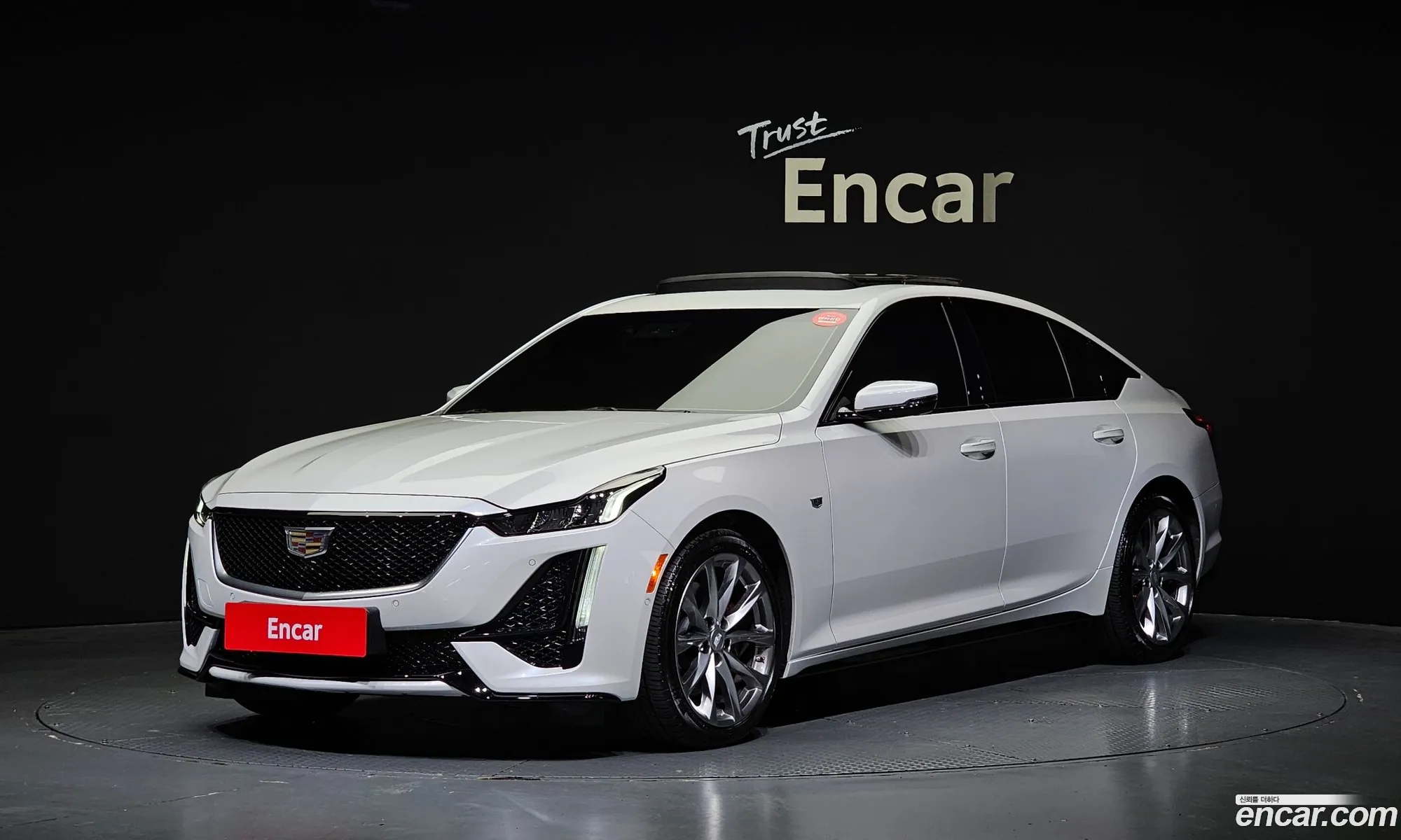 Cadillac Ct5 20 Sports 2023 - фотография 14669840