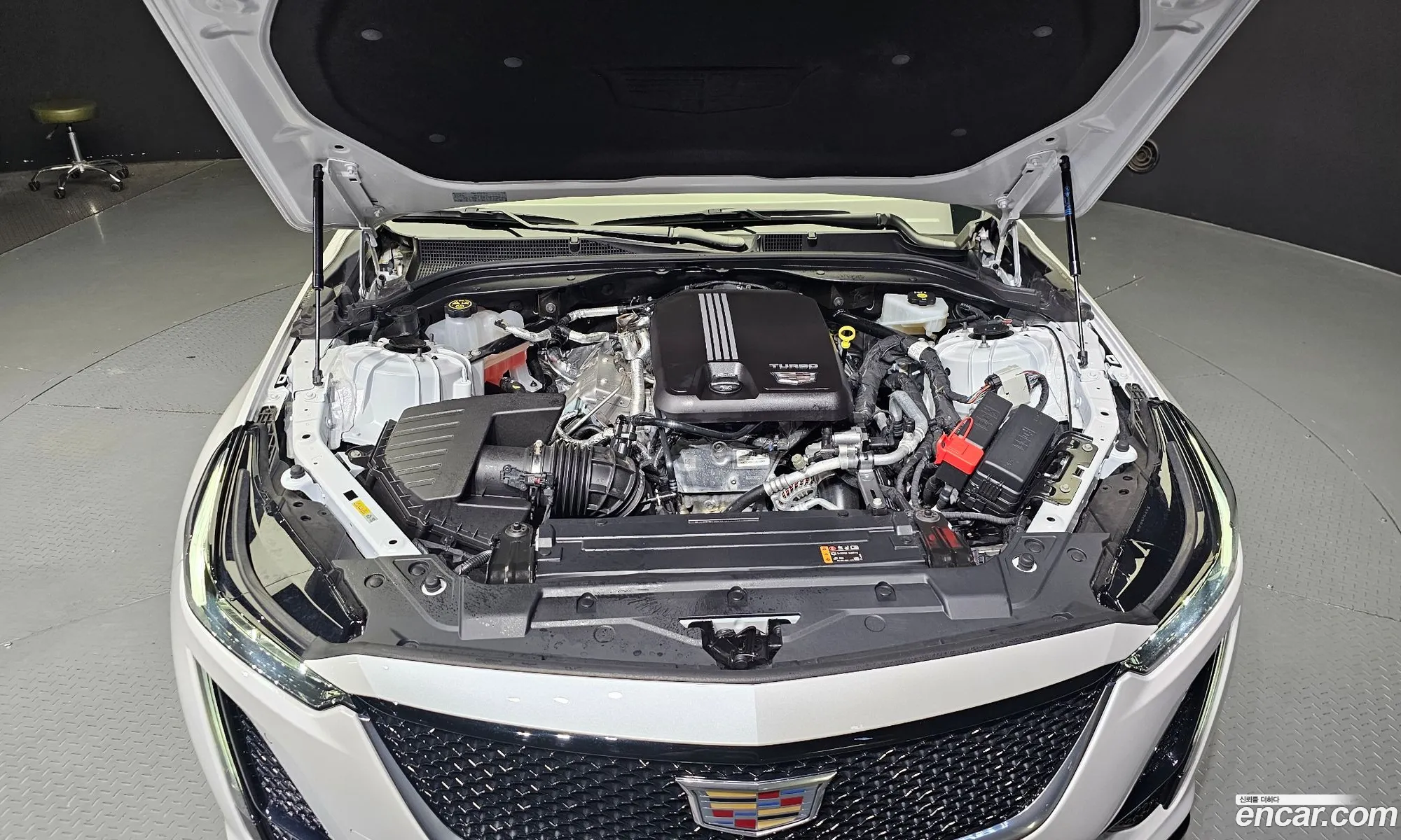 Cadillac Ct5 20 Sports 2023 - фотография 14669845