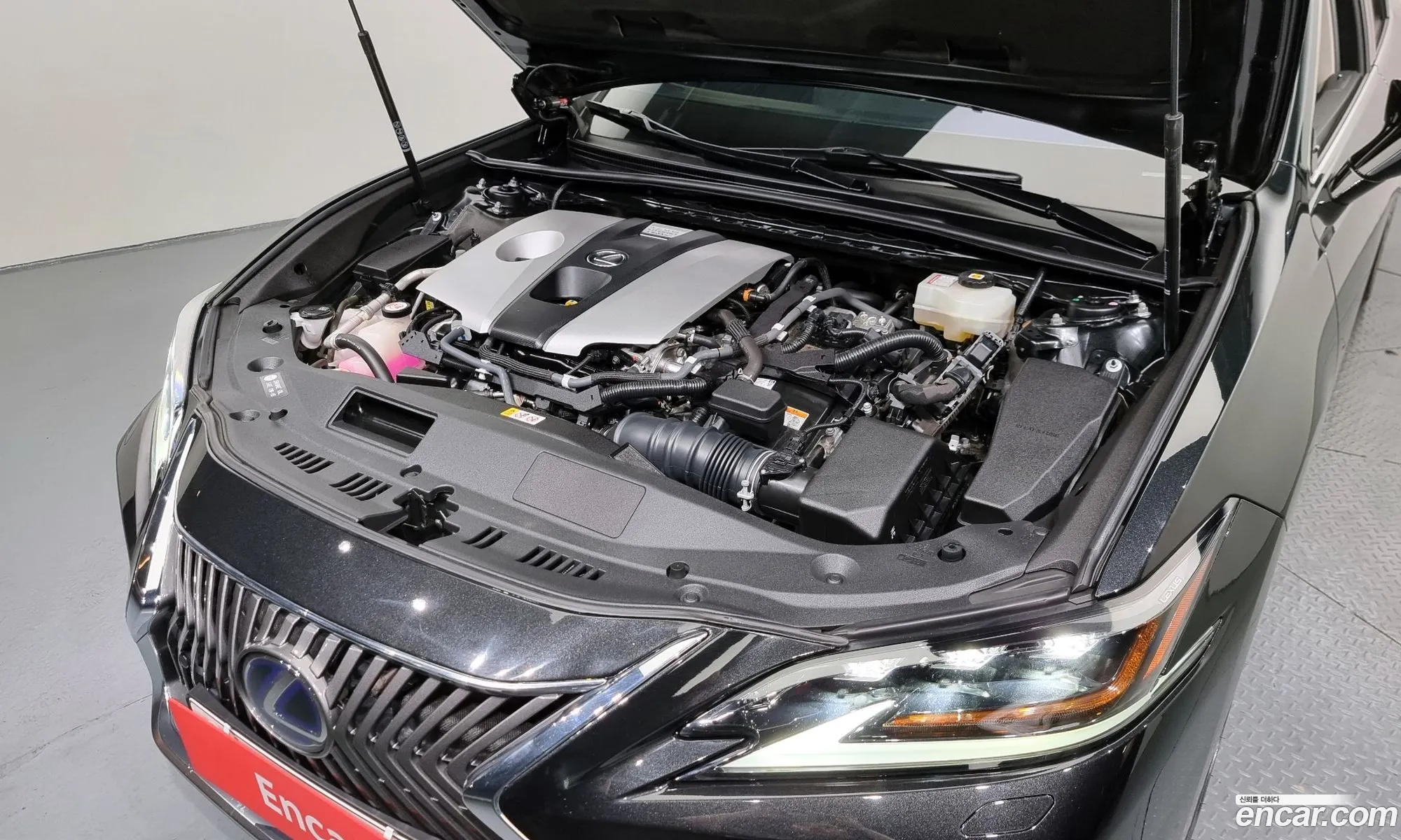 Lexus Es Vii Executive 2021 - фотография 3515344