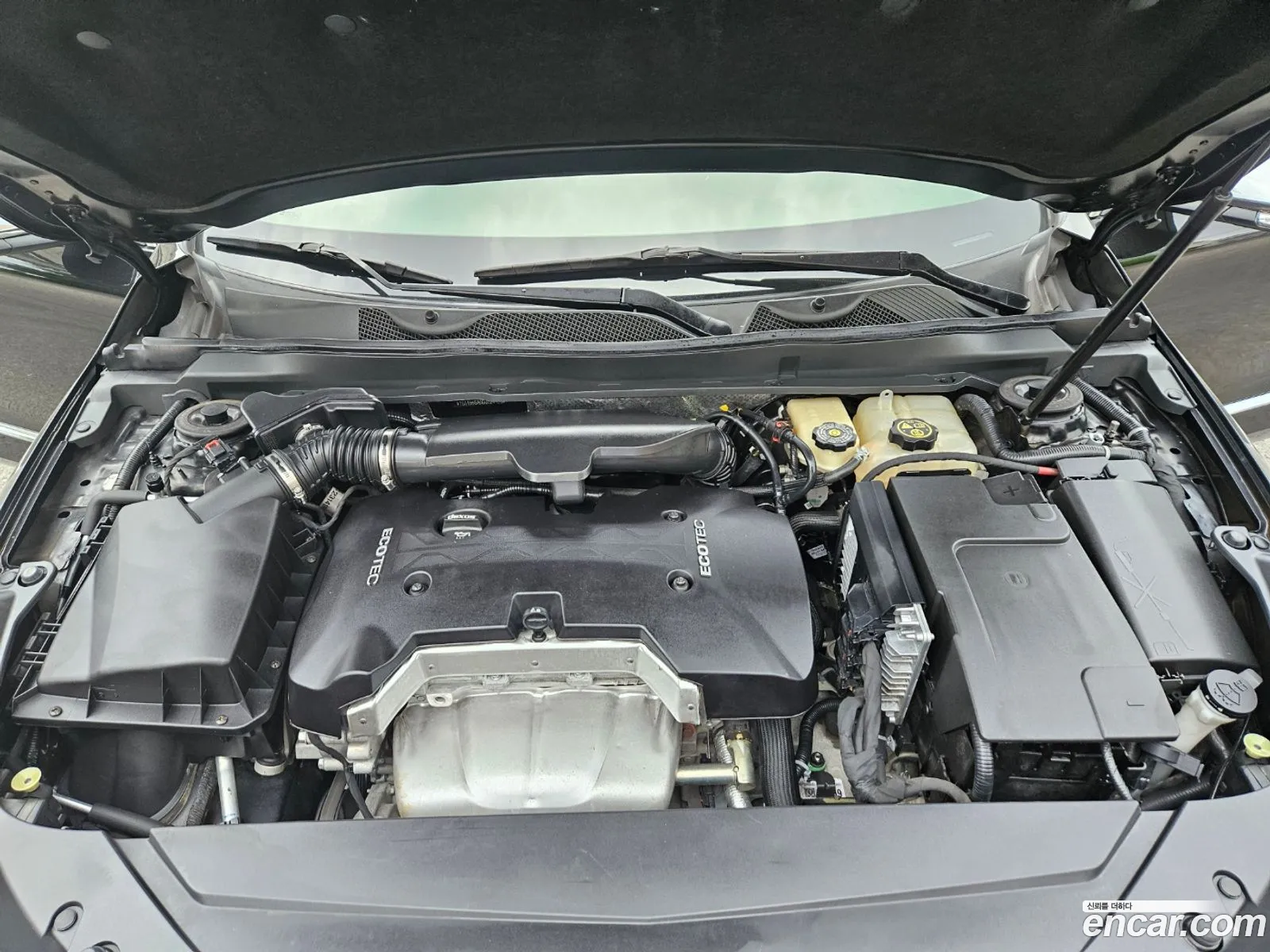 Korex Auto Trade - фотография 4539068