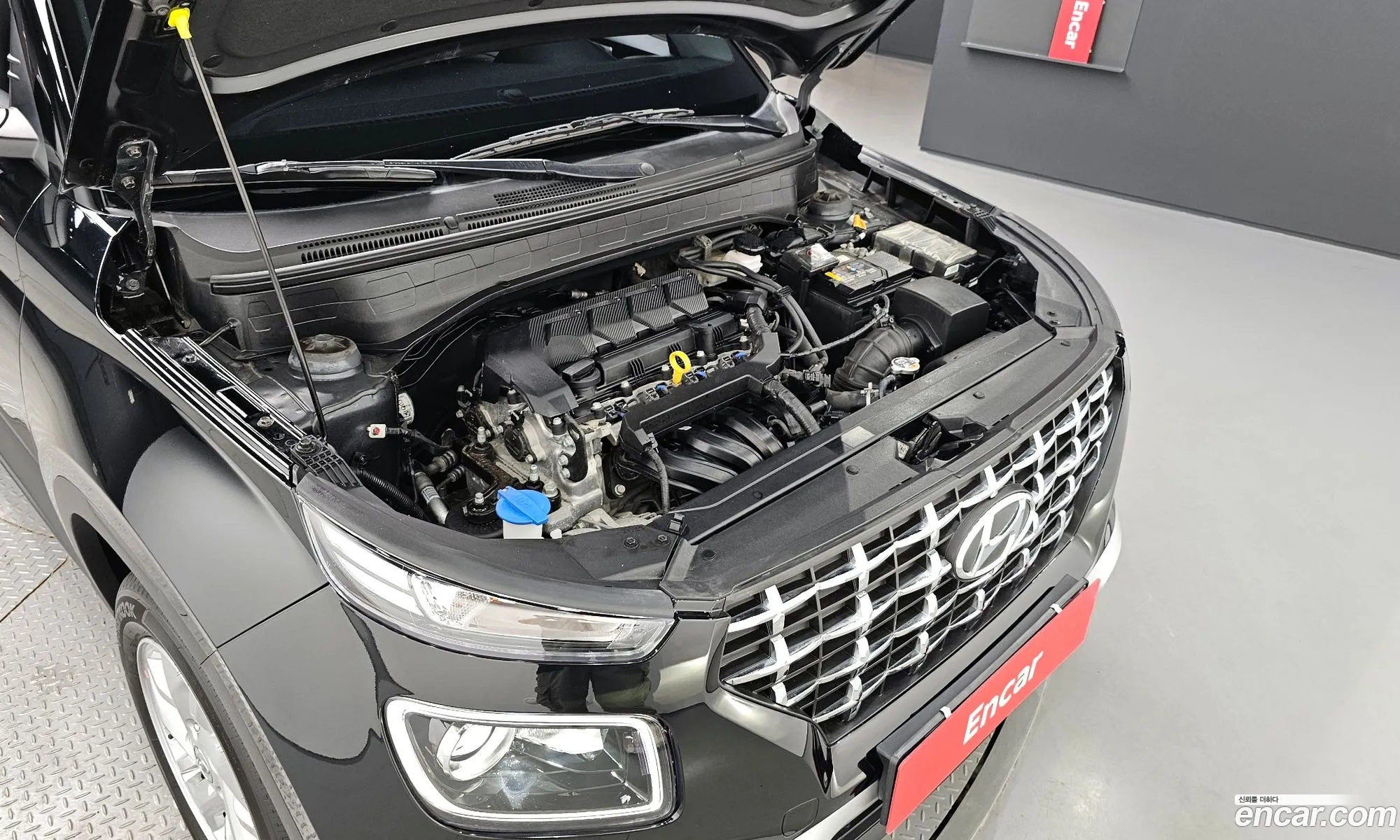 Hyundai Venue I 16 Modern 2021 - фотография 11362787