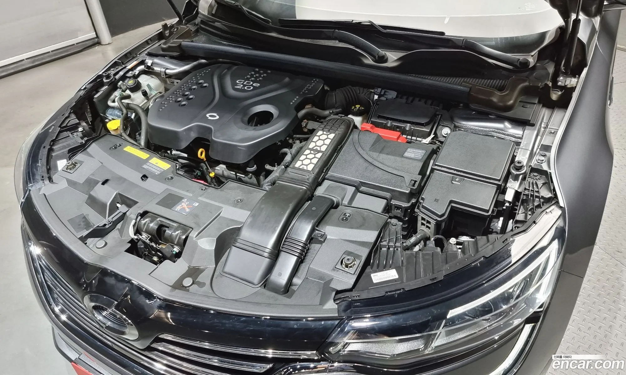 Renault Samsung Sm6 20Gdere 2016 - фотография 11879001