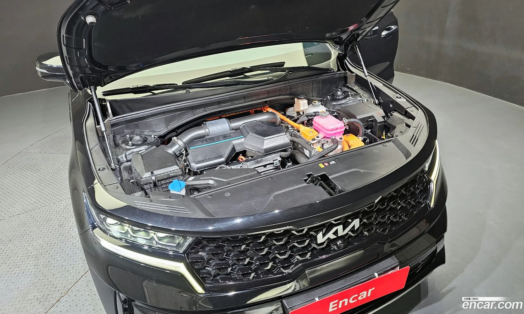 Korex Auto Trade - фотография 11295456