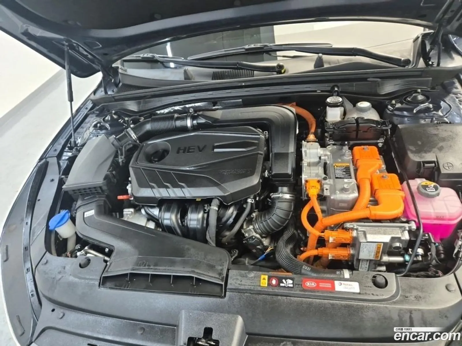 Kia K5 Hybrid 3Rd Generation Signature - фотография 11408515