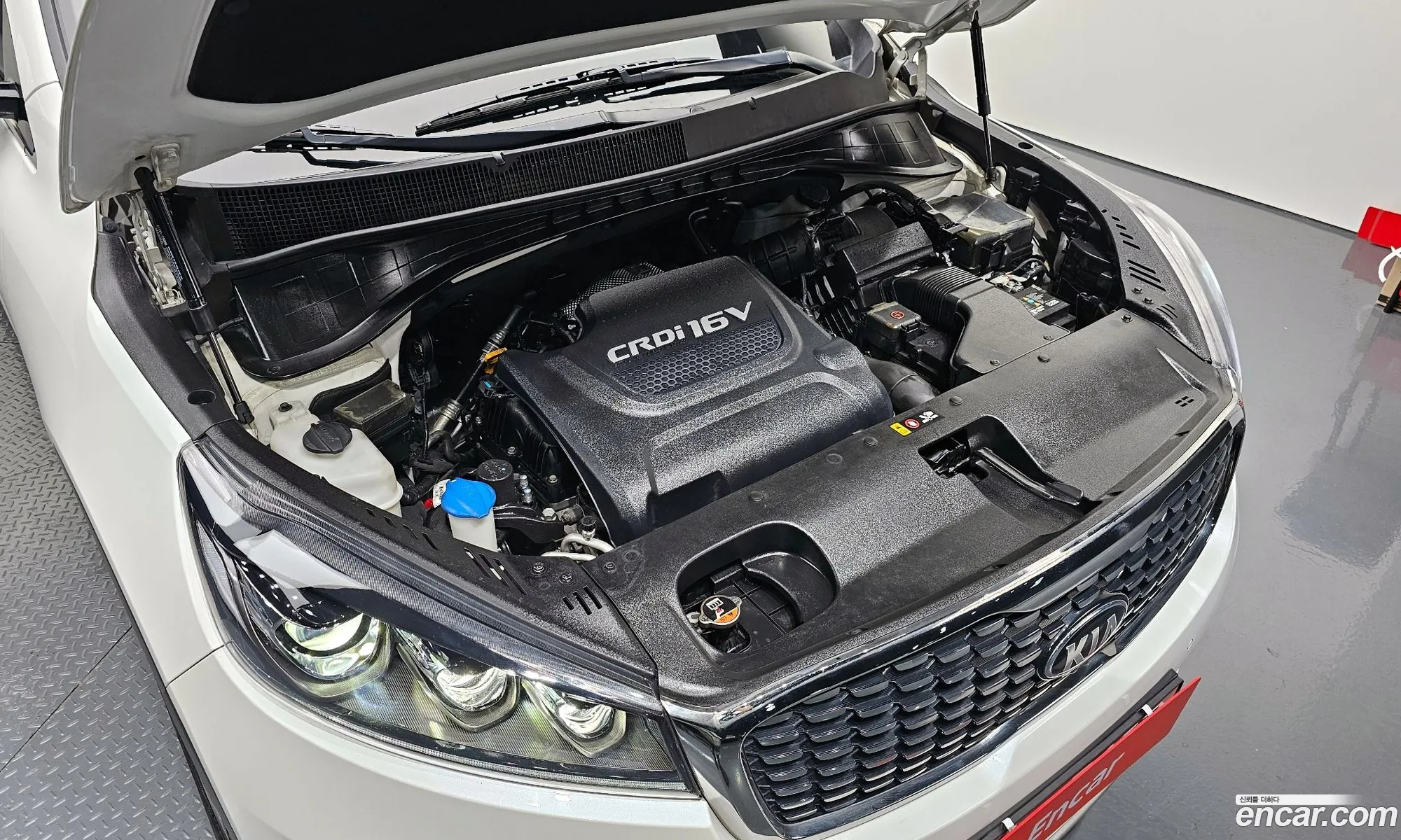 Korex Auto Trade - фотография 12320140