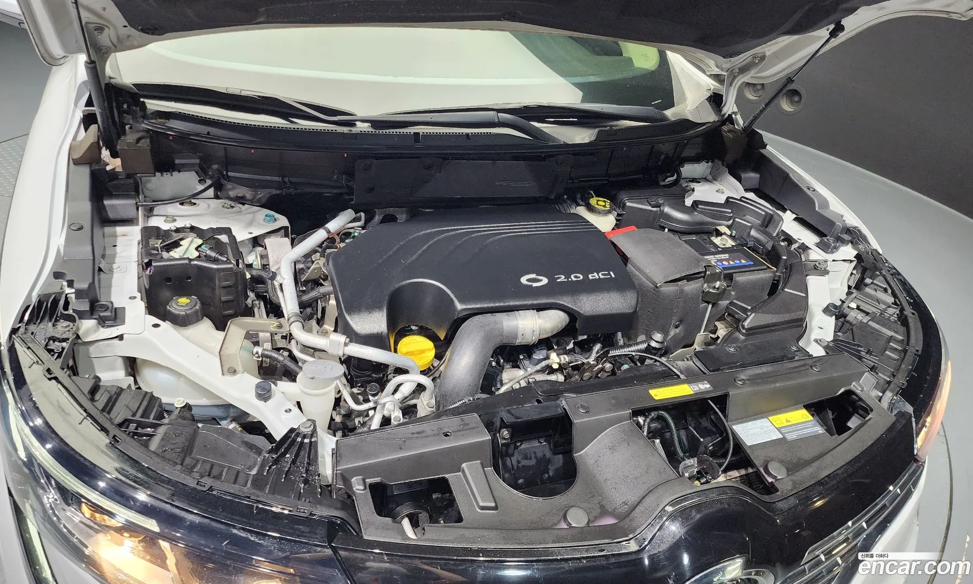 Renault Samsung Qm6 Diesel 2Wd Le 2017 - фотография 3851090