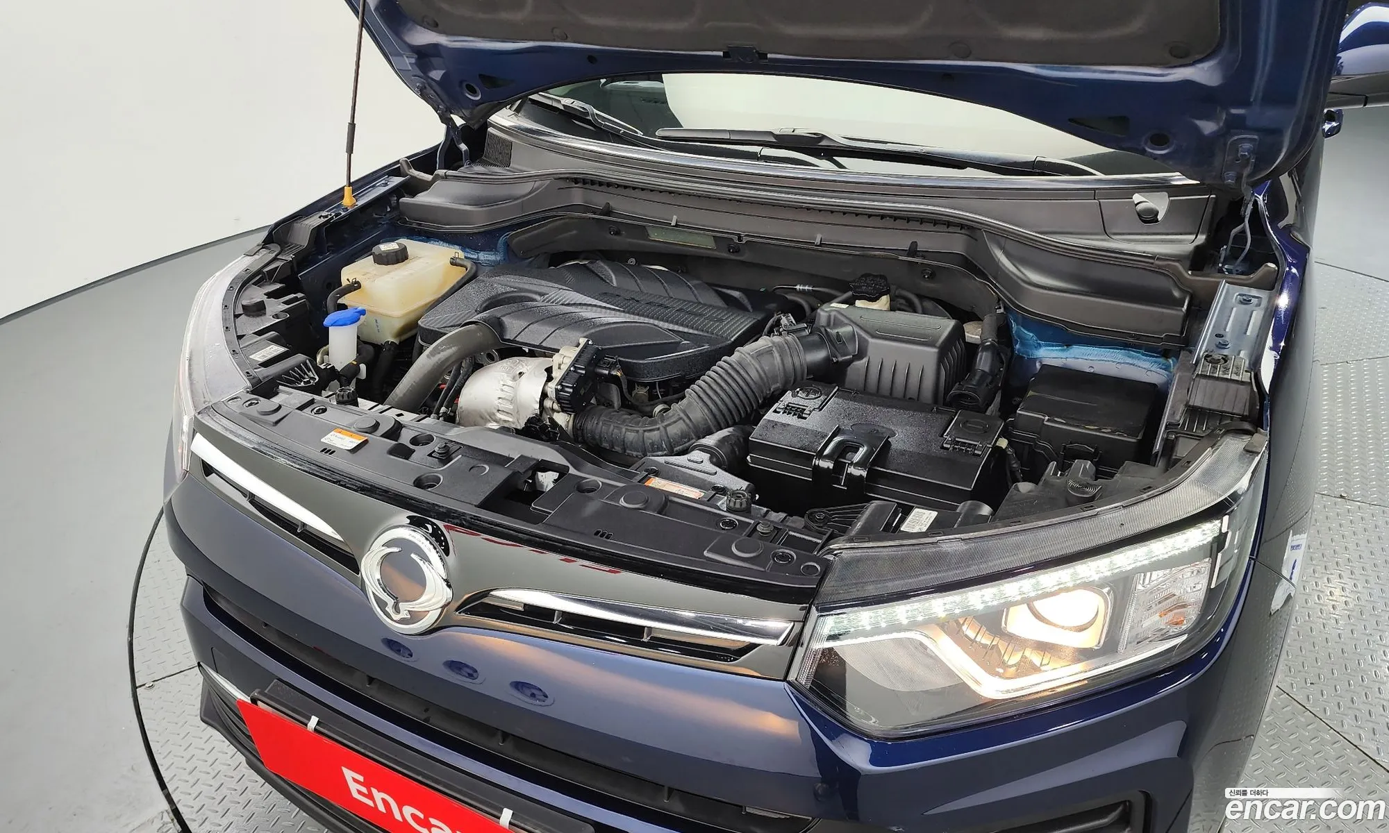 Ssangyong Tivoli Tivoli Diesel 16 2Wd 2021 - фотография 19739527