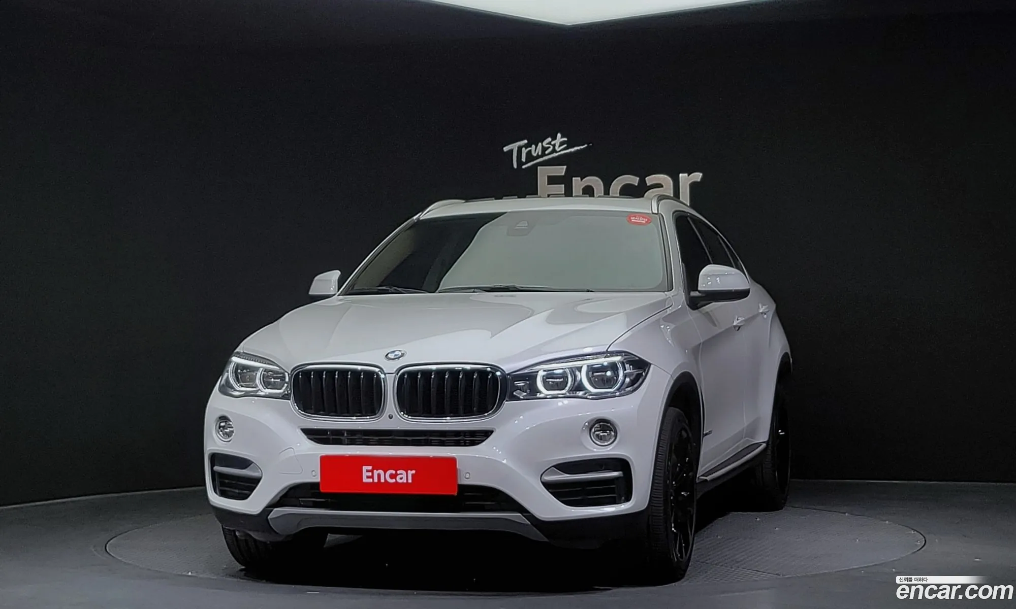 BMW X6 Ii F16 xDrive 30D 2018 - фотография 17191793