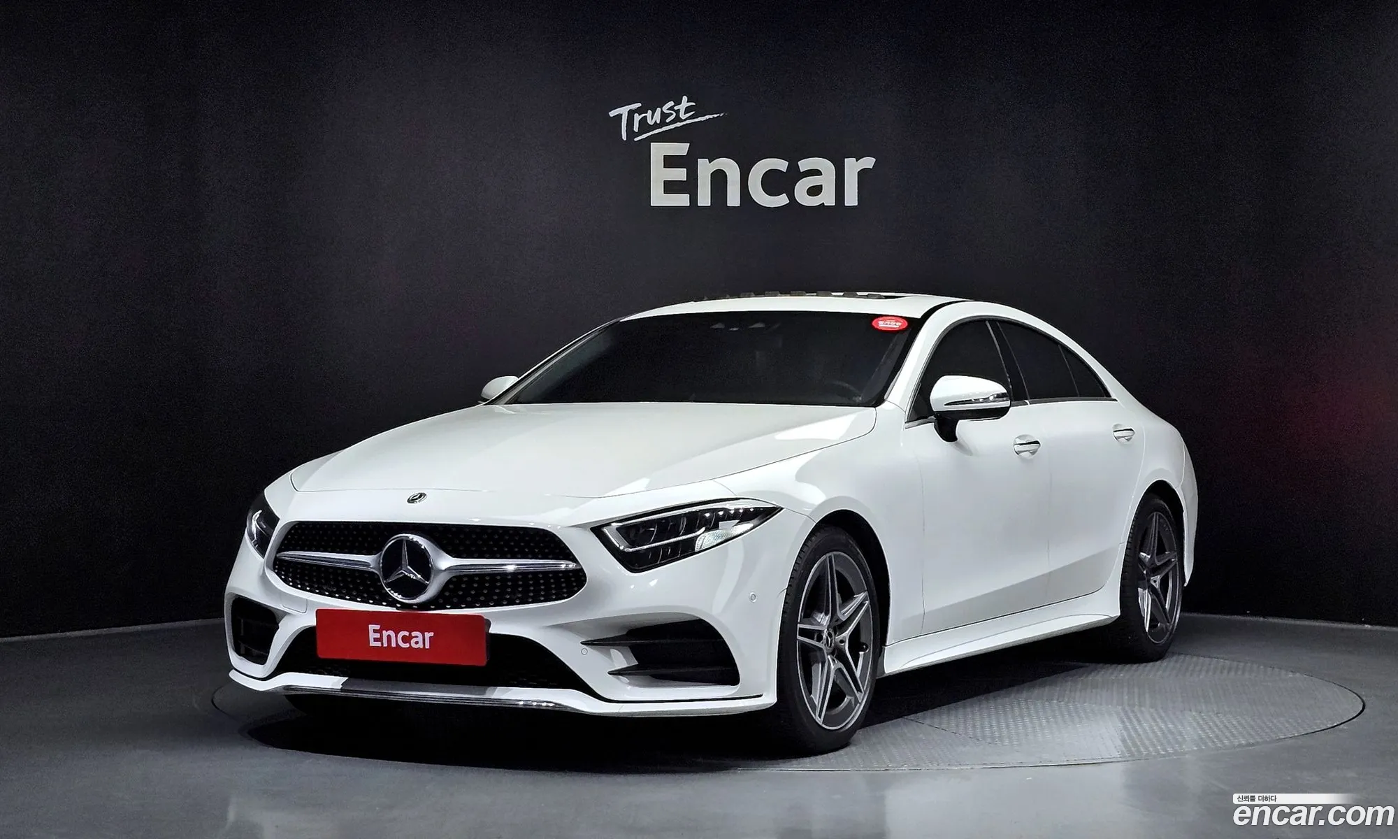 Mercedes-Benz Cls-Klasse Iii C257 Cls300D Amg Line 2019 - фотография 18936976