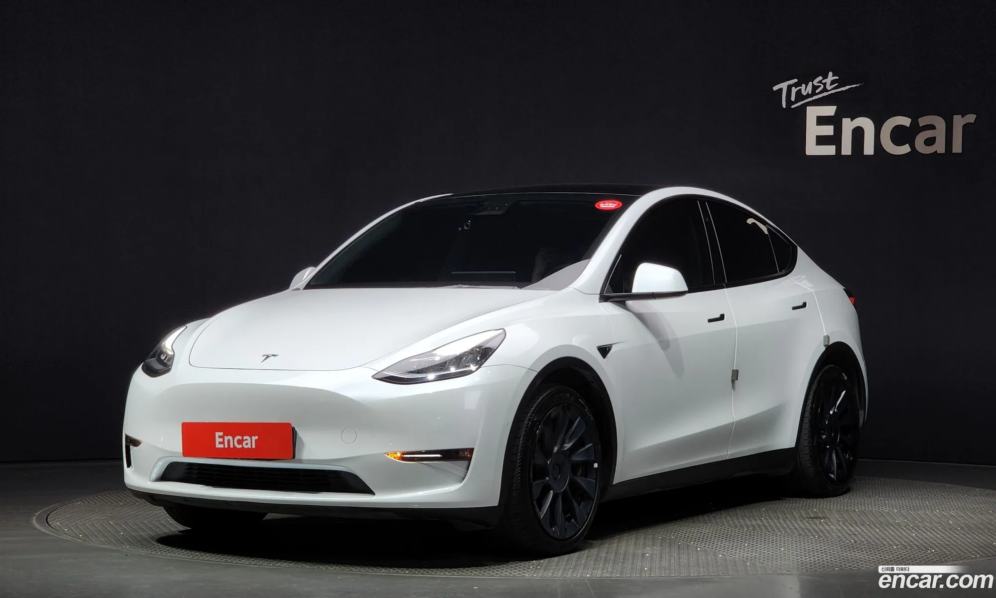 Tesla Model Y I Long Range 2021 - фотография 14550700