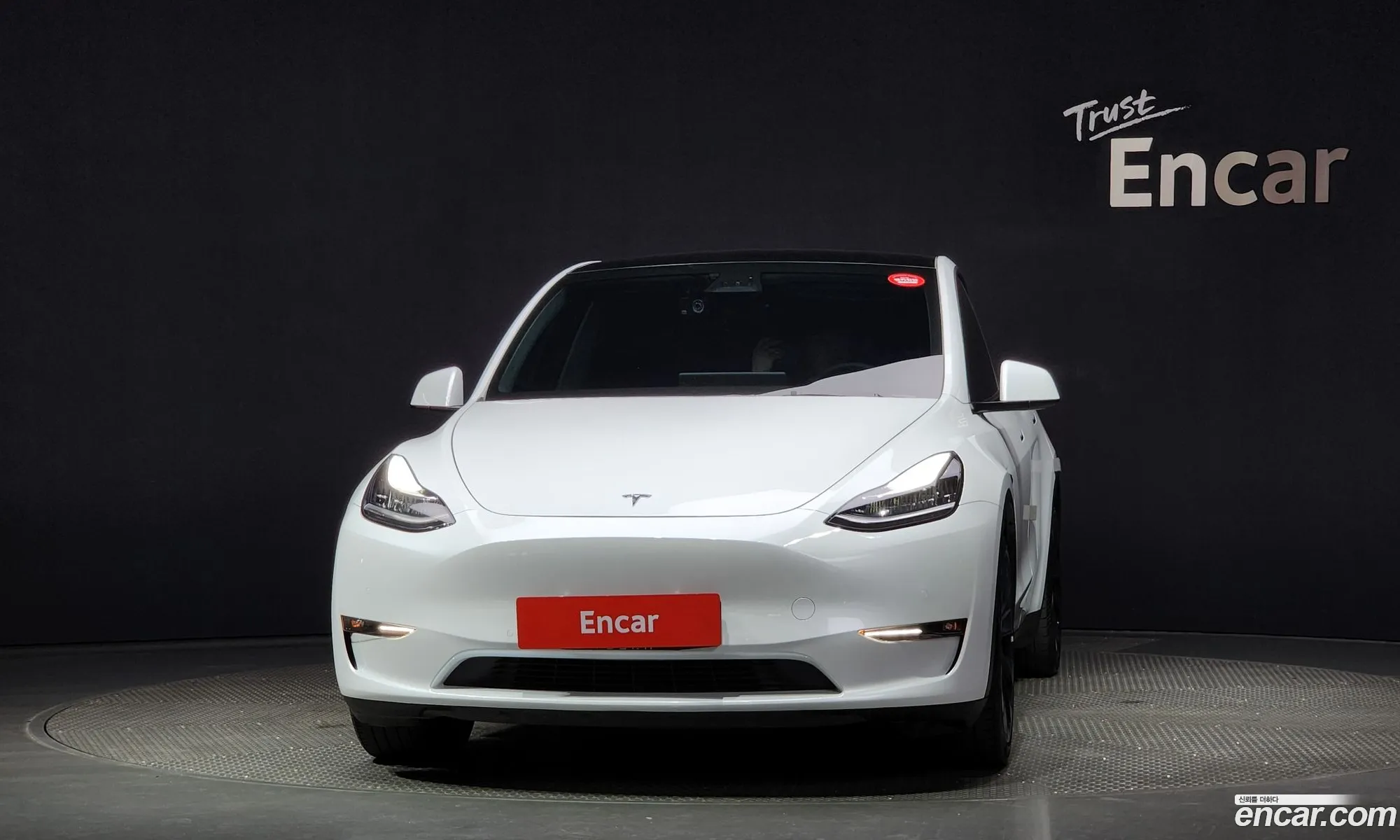 Tesla Model Y I Long Range 2021 - фотография 14550703