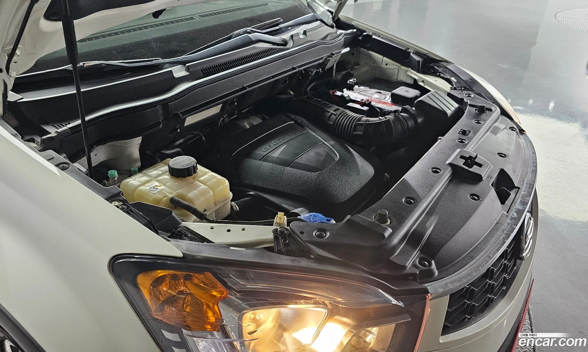 Korex Auto Trade - фотография 17520764