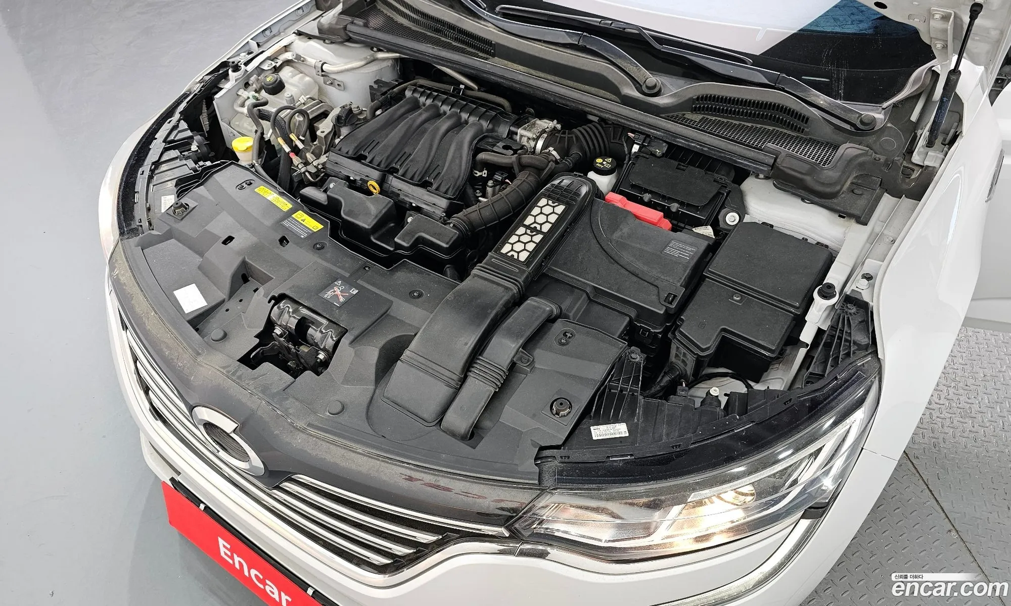 Renault Samsung Sm6 20 Lpe Le For The Disabled 2019 - фотография 4892993