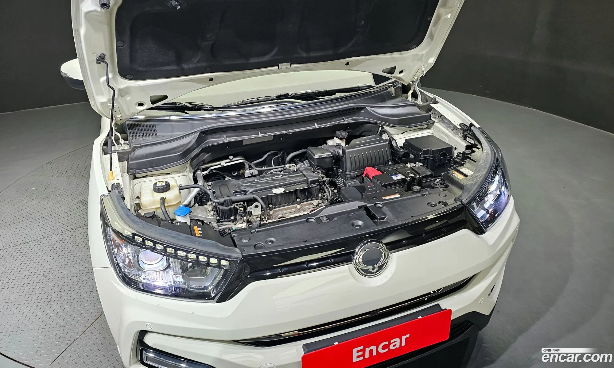 Ssangyong Tivoli Tivoli Gear Plus 2Wd 2019 - фотография 19884731