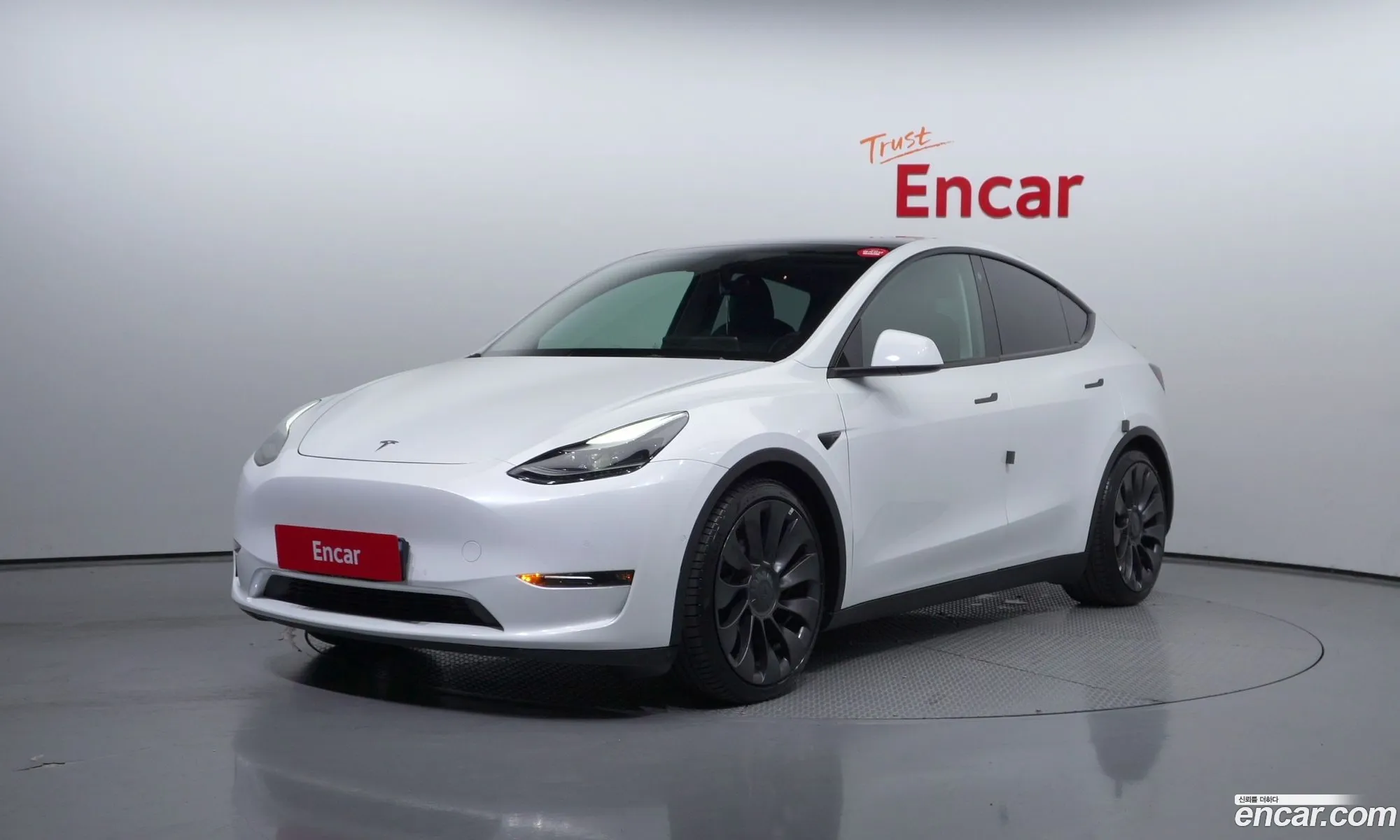 Tesla Model Y I Performance 2021 - фотография 14550688