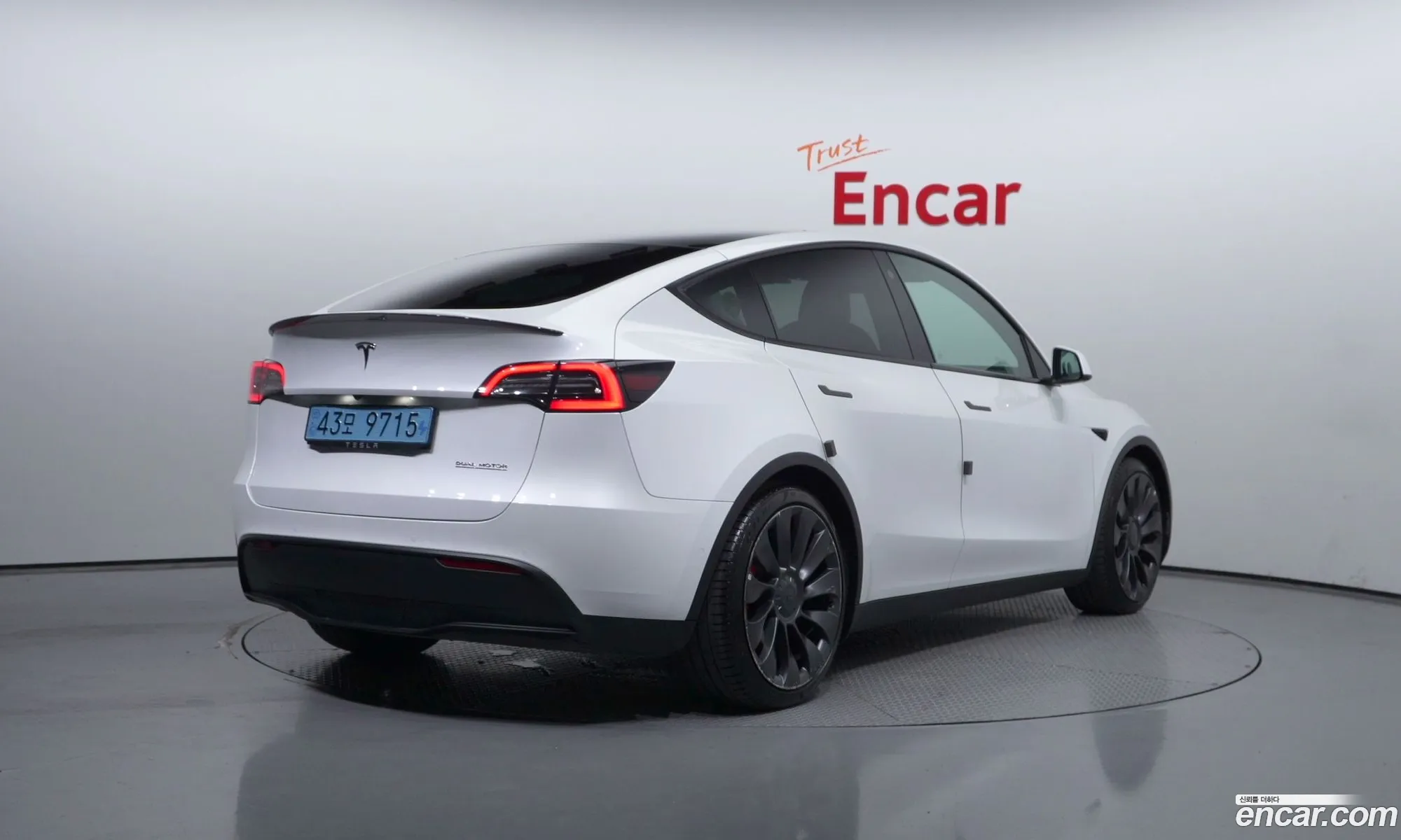 Tesla Model Y I Performance 2021 - фотография 14550689