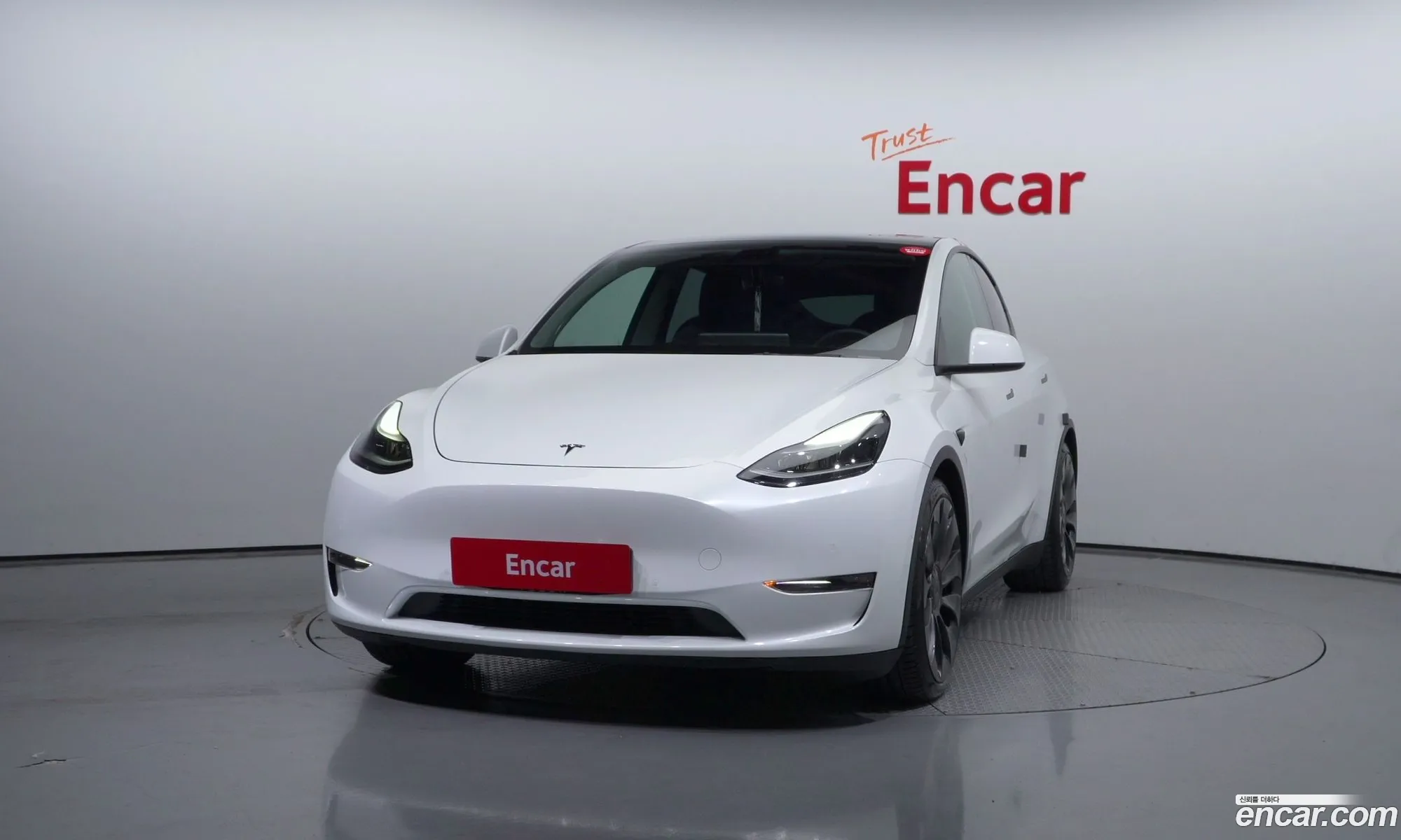 Tesla Model Y I Performance 2021 - фотография 14550690