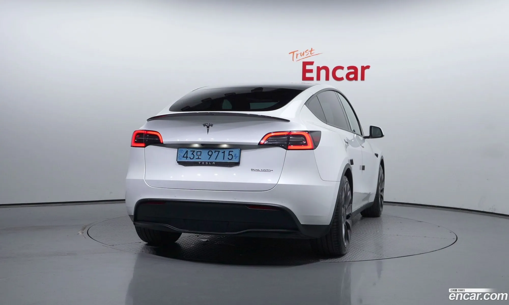 Tesla Model Y I Performance 2021 - фотография 14550691