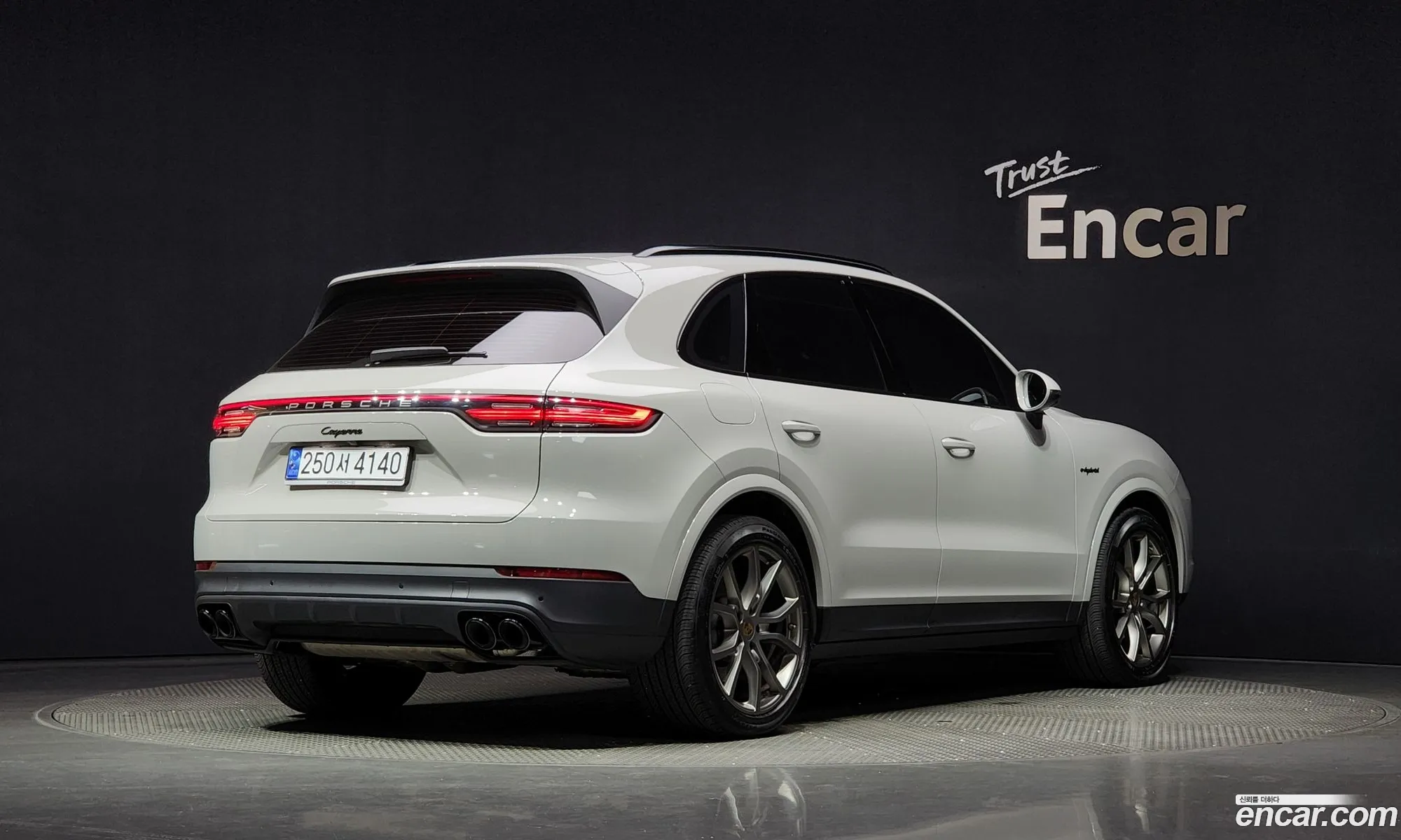 Porsche Cayenne 30 E-Hybrid Platinum Edition 2023 - фотография 6816789