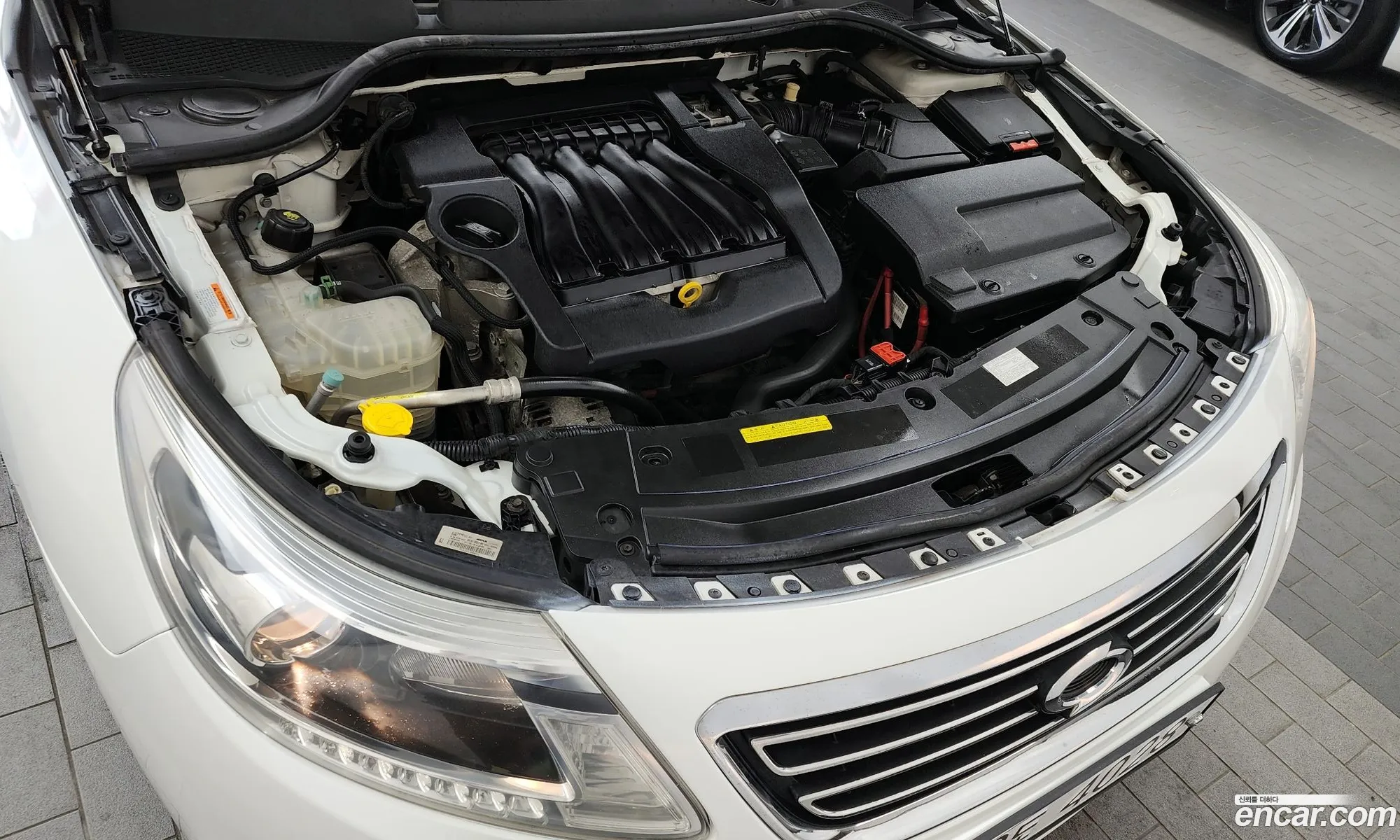Renault Samsung Sm5 Se 2014 - фотография 4323244