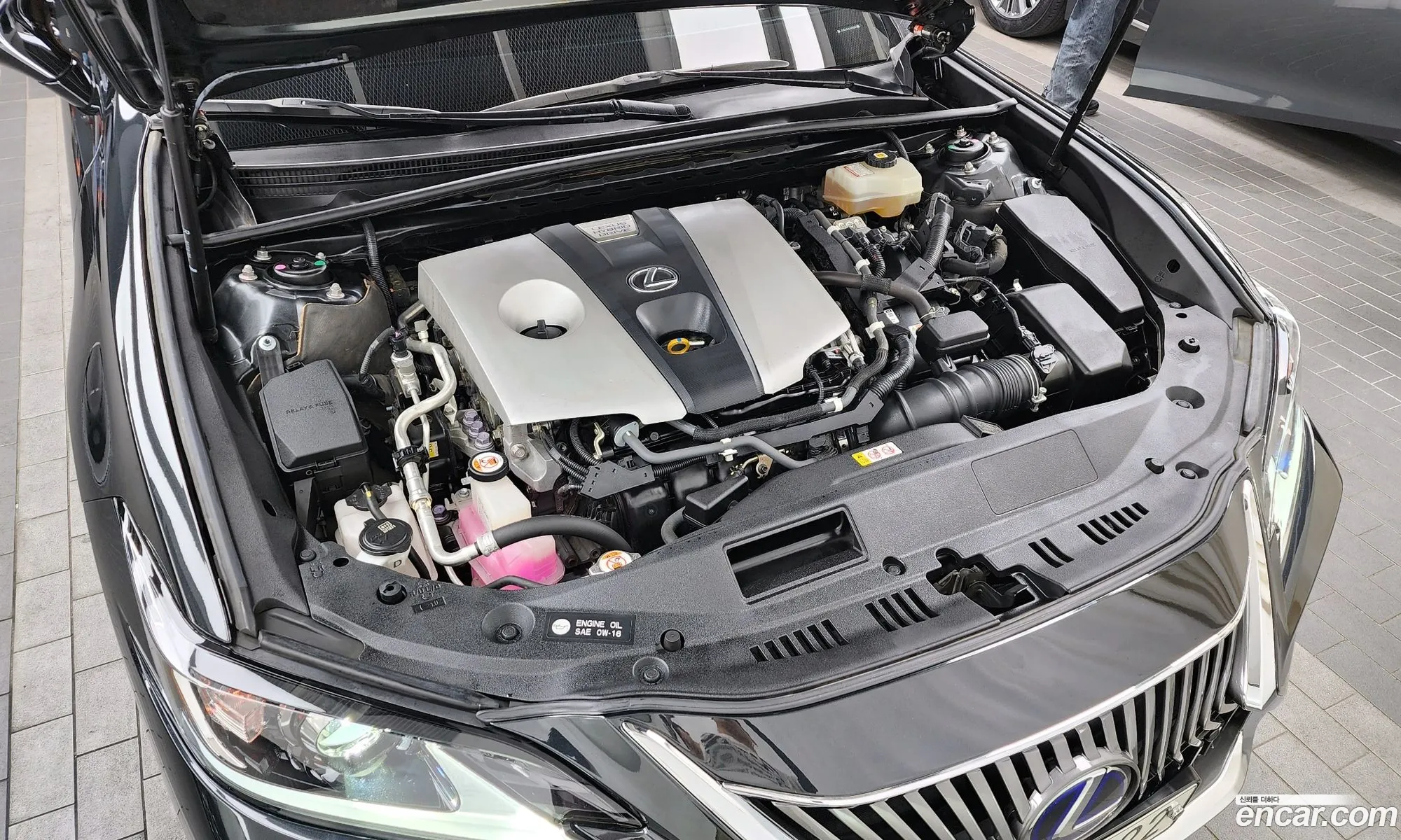 Lexus Es300H 7Th Generation Luxury Plus - фотография 3515835
