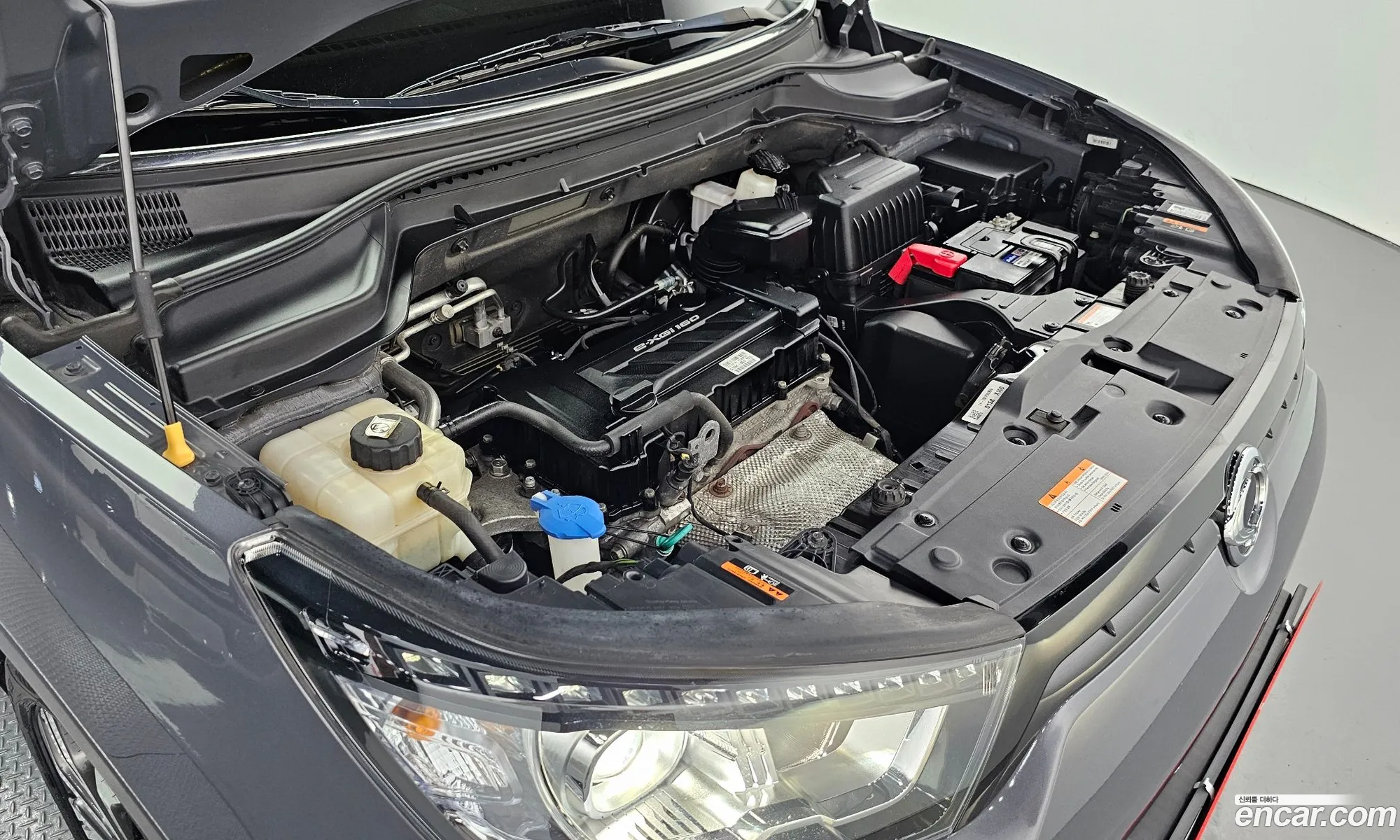 Ssangyong Tivoli Tivoli Gear Plus 2Wd 2019 - фотография 17429915