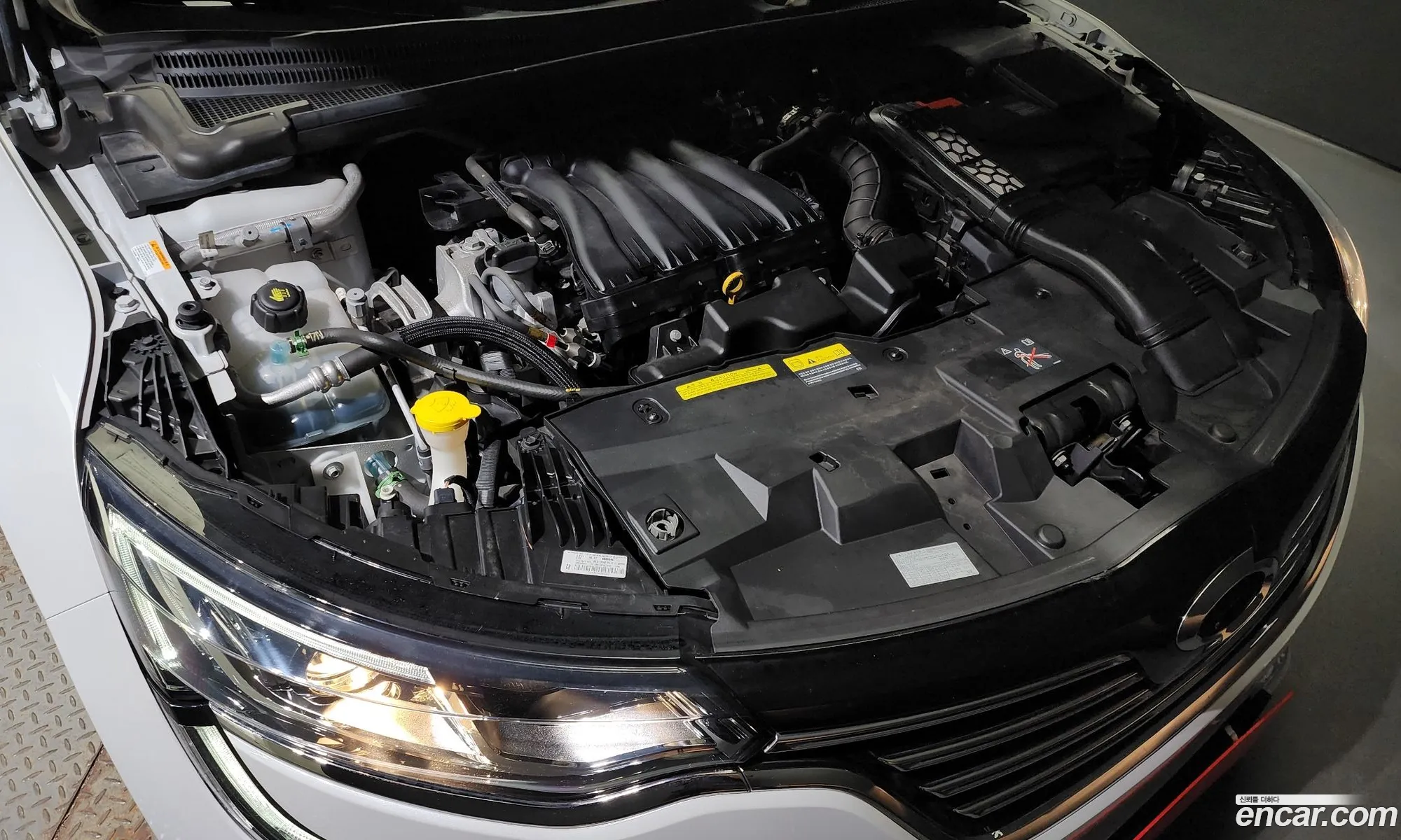 Renault Samsung Sm6 20 Lpe Le For The Disabled 2019 - фотография 3144741