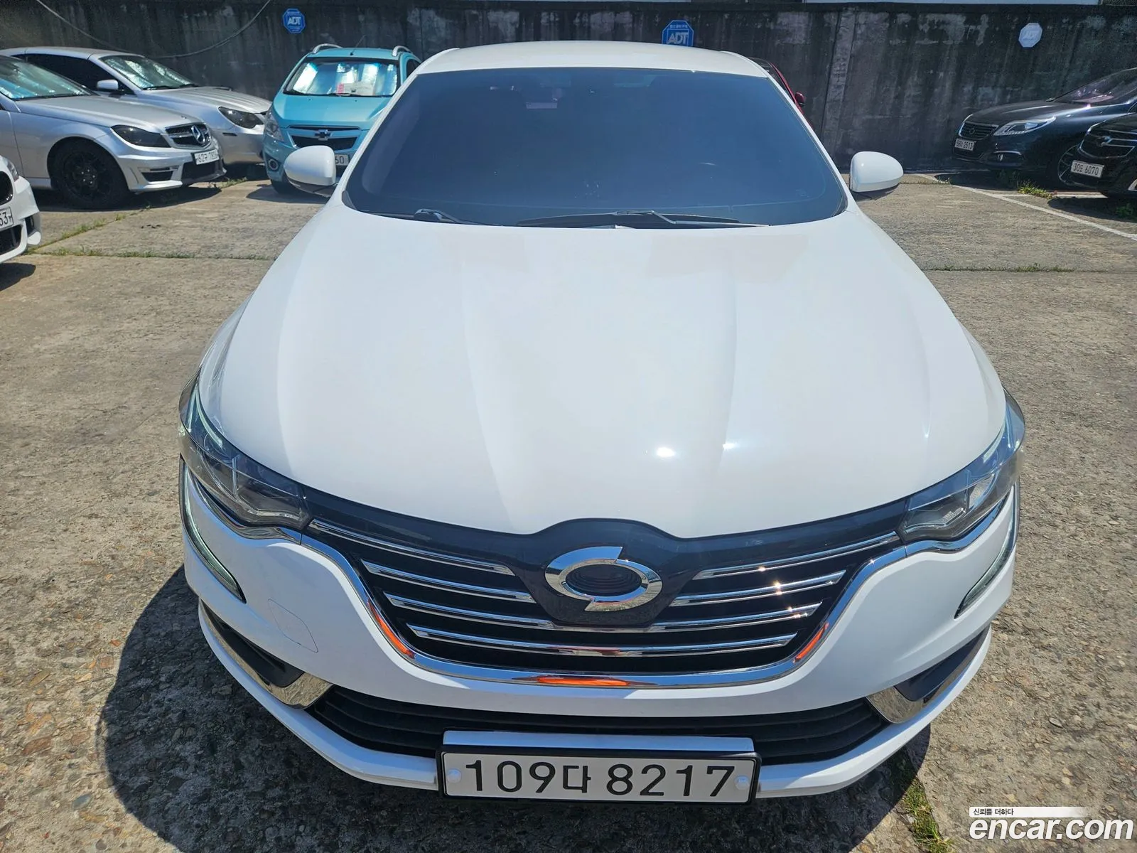 Renault Samsung Sm6 20 Lpe Se Rental Car 2019 - фотография 4357878