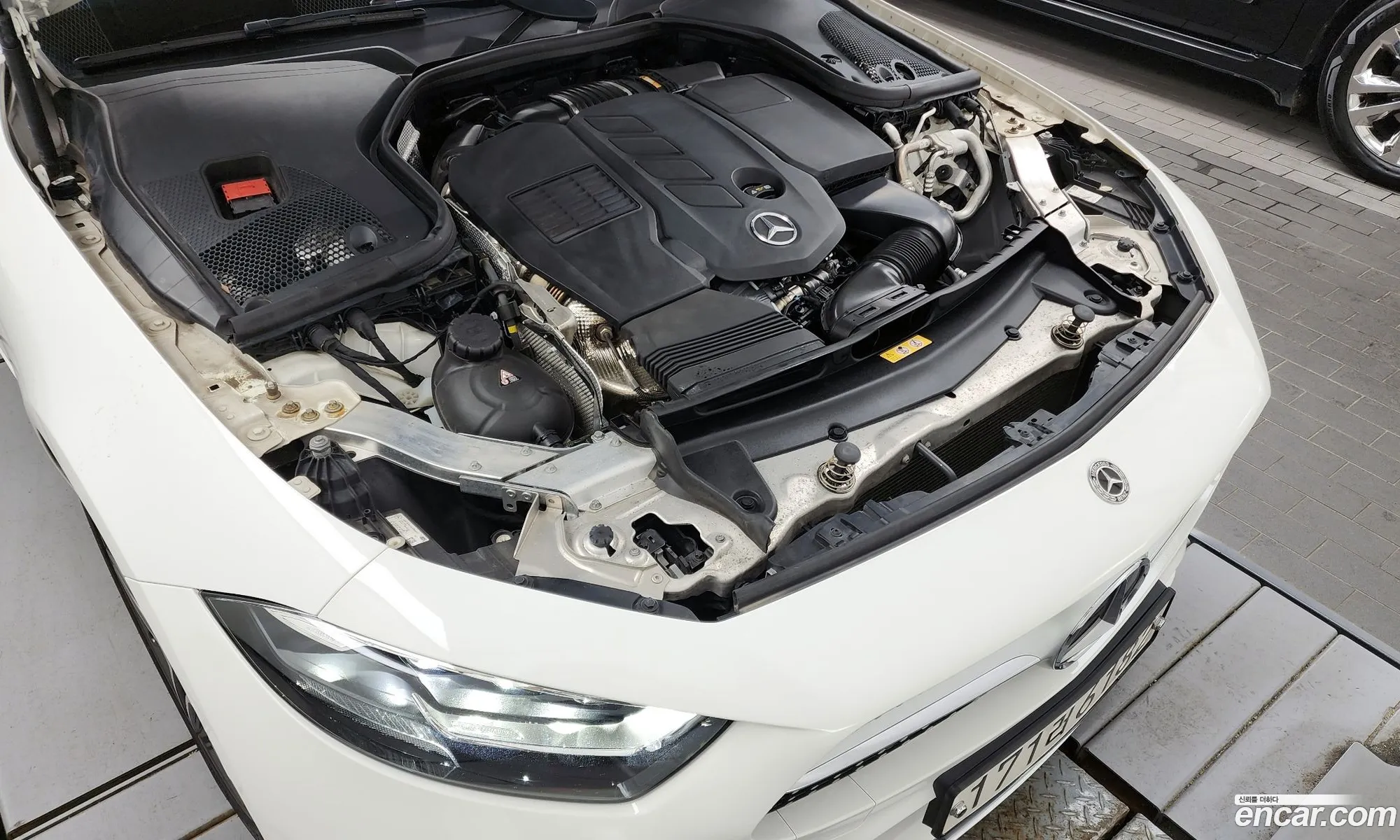Mercedes-Benz Cls-Klasse Iii C257 Cls300D Amg Line 2020 - фотография 18976176