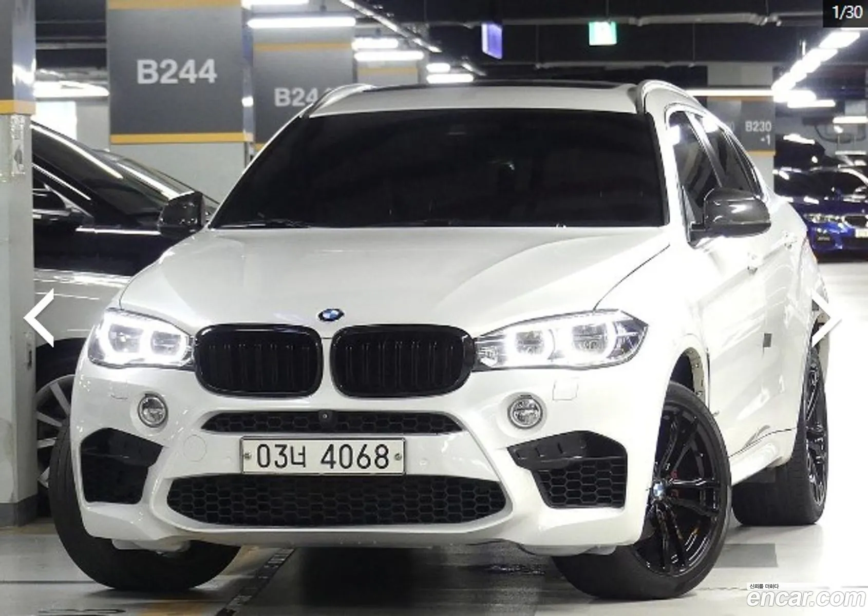 BMW X6 Ii F16 xDrive 30D 2017 - фотография 17261770