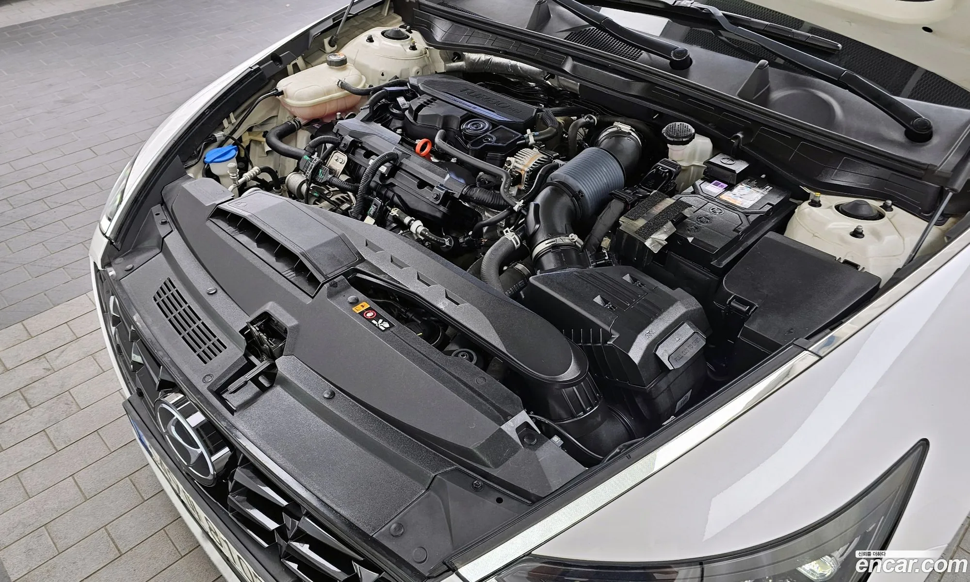 Hyundai Sonata Viii Dn8 16 Turbo 2021 - фотография 18809894