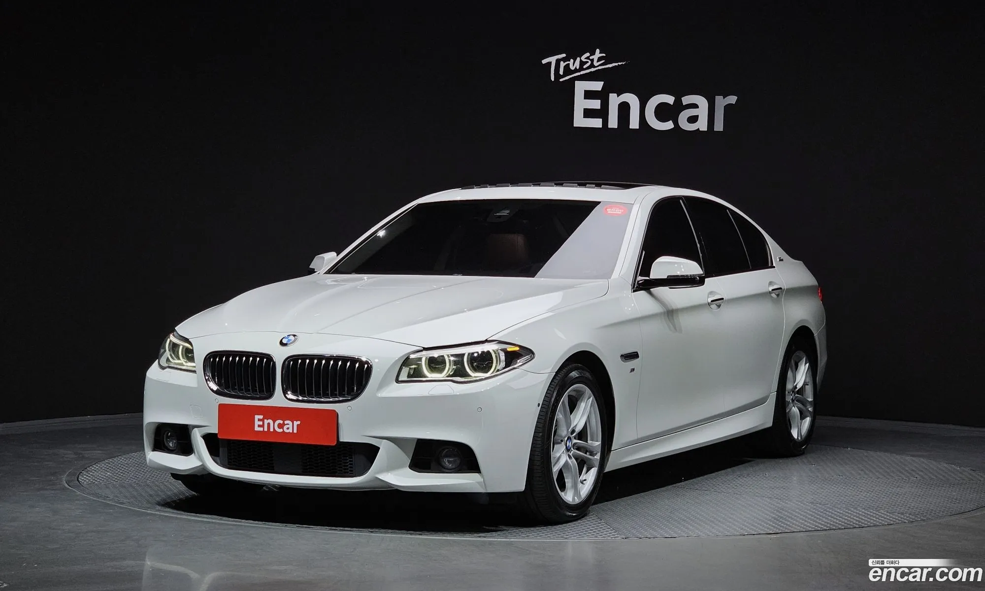 BMW 5Er 520D xDrive M Aerodynamics 2016 - фотография 16538946
