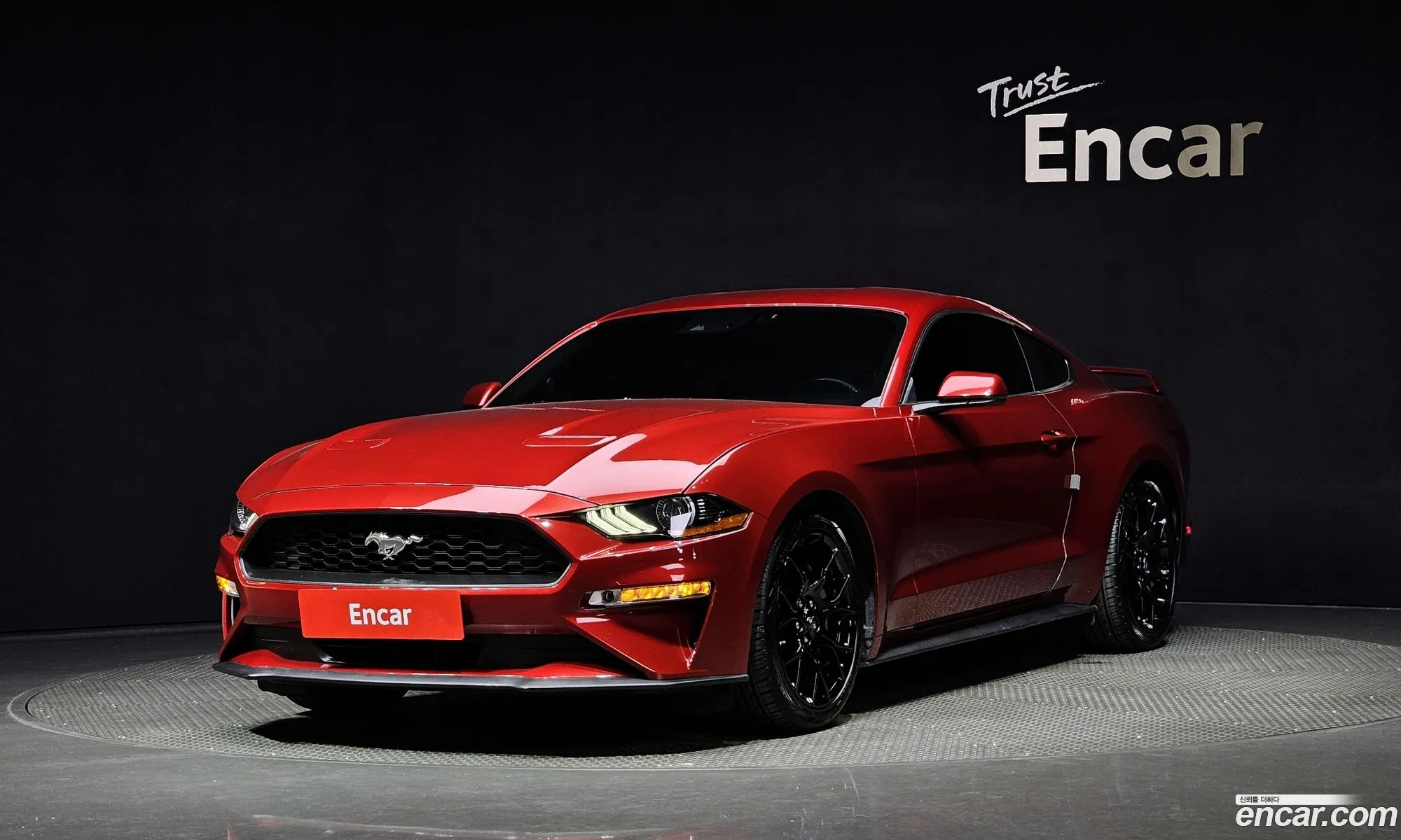 Ford Mustang Coupe - фотография 14629493