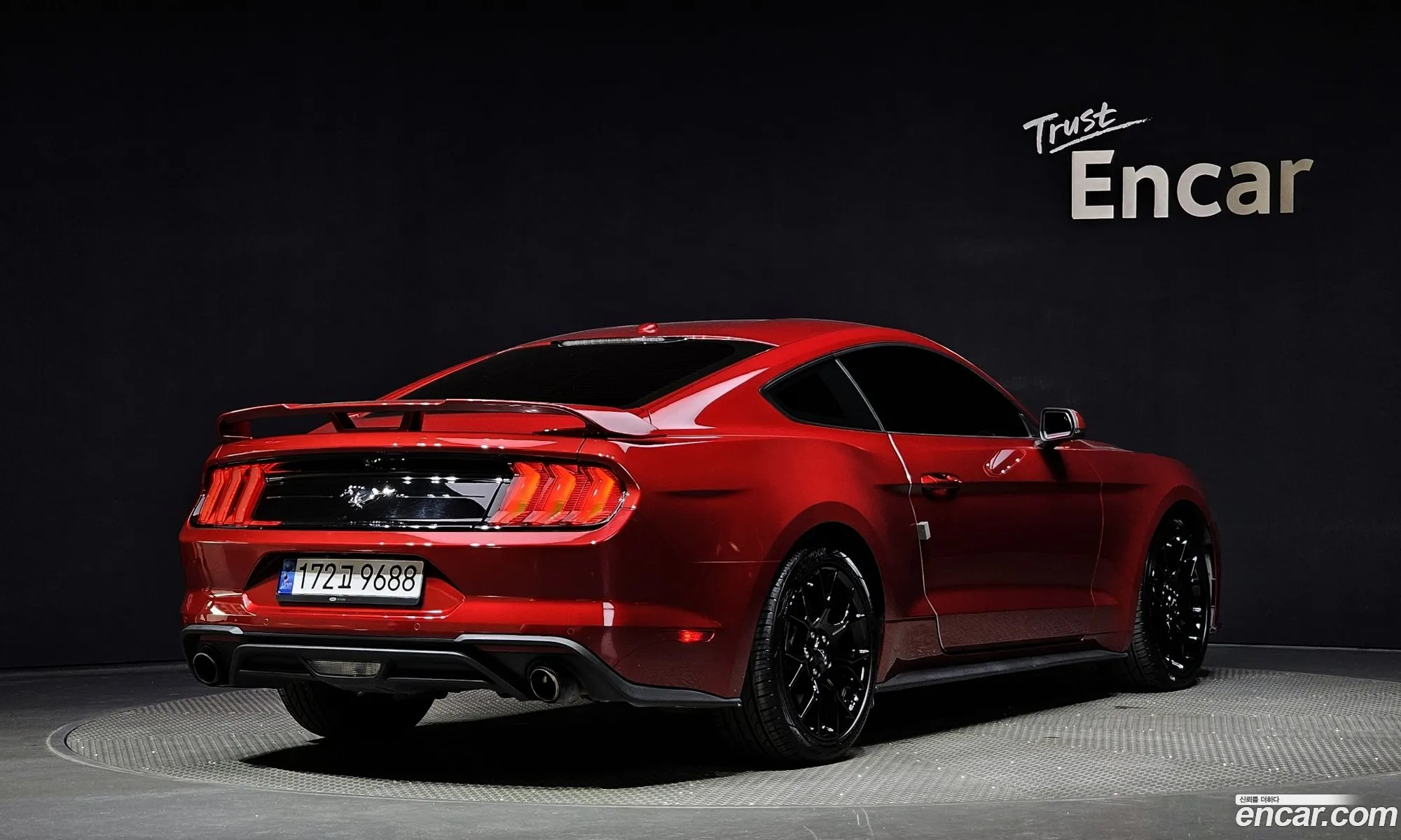 Ford Mustang Coupe - фотография 14629494