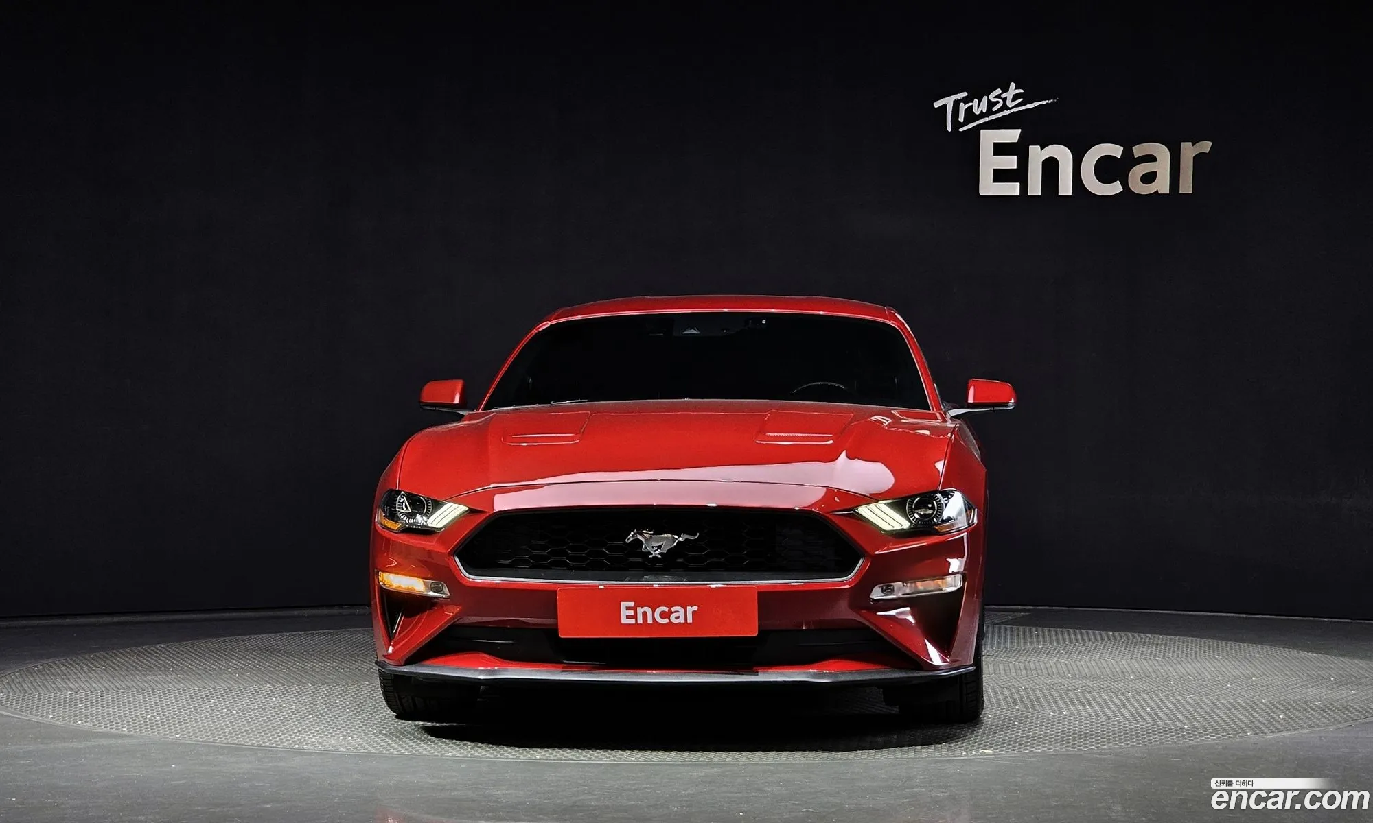 Ford Mustang Coupe - фотография 14629495