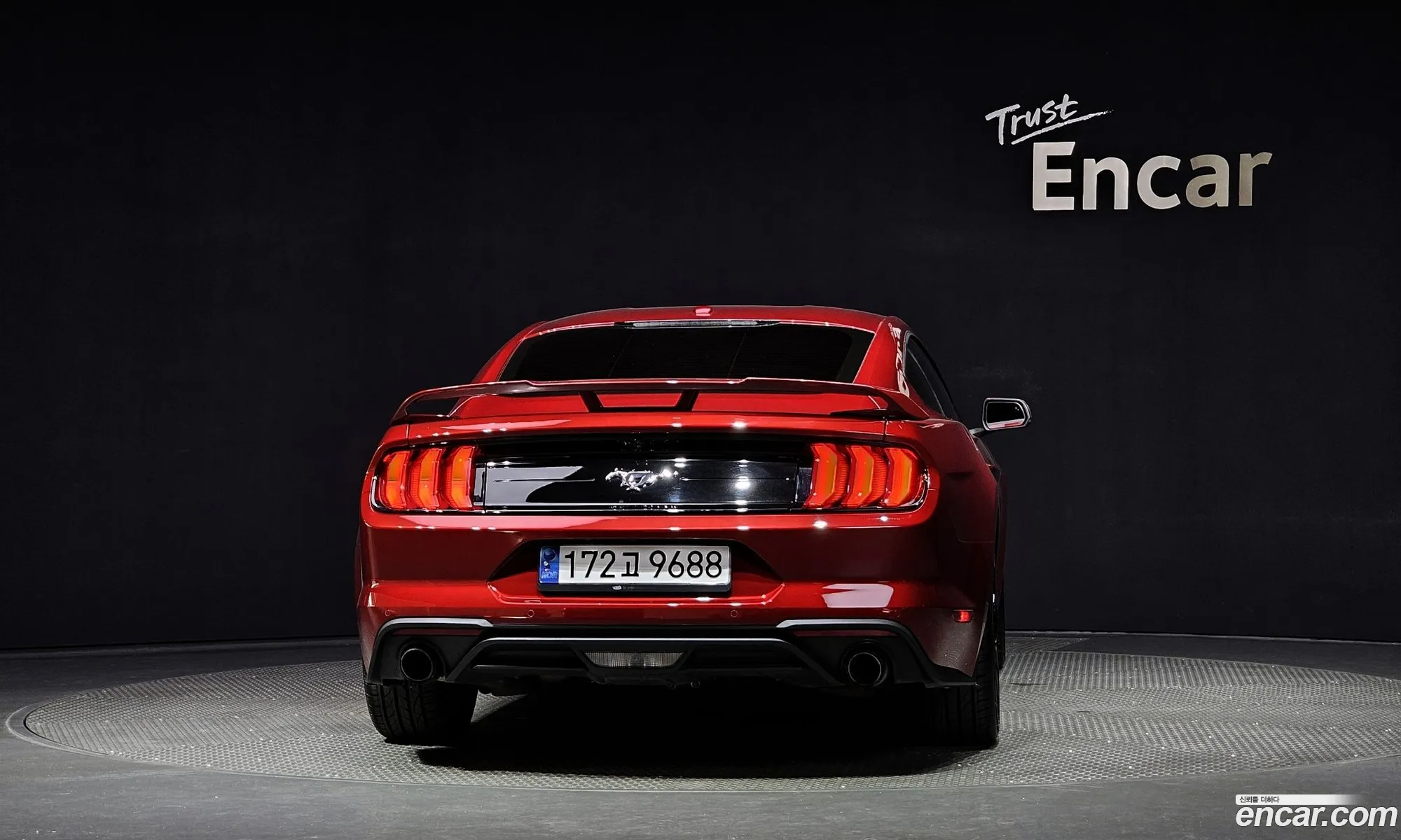 Ford Mustang Coupe - фотография 14629496