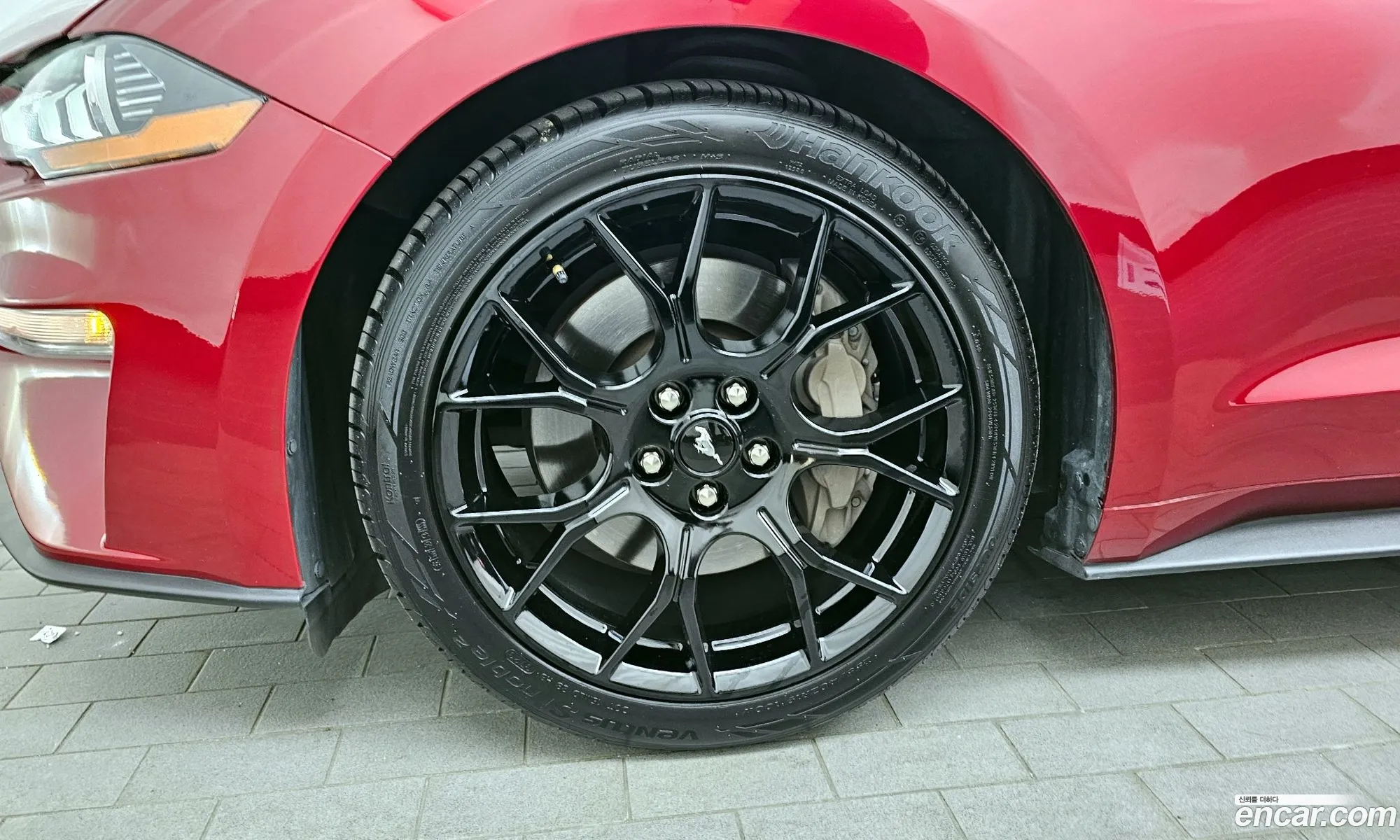 Ford Mustang Coupe - фотография 14629497