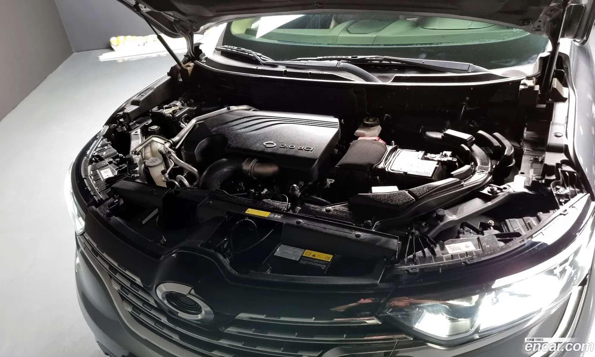 Renault Samsung Qm6 Diesel 4Wd Re Signature 2017 - фотография 4051941