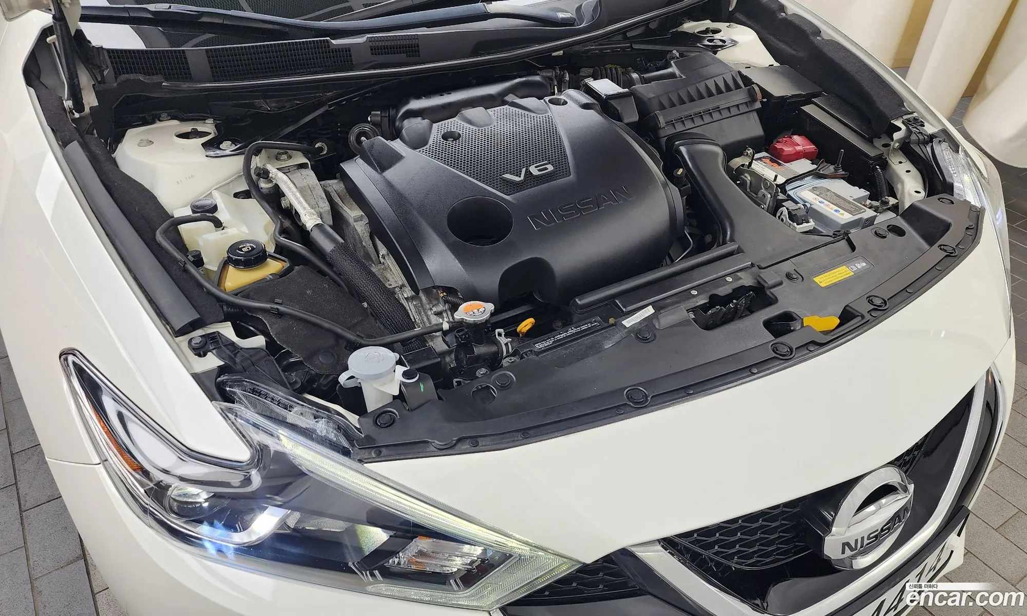 Nissan Maxima Viii A36 35 Platinum 2018 - фотография 4637381