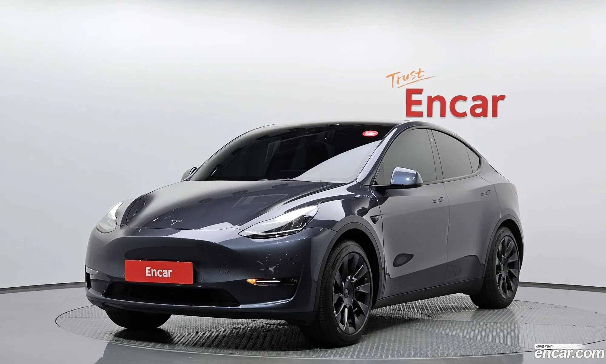 Tesla Model Y I Standard Range 2021 - фотография 3723058