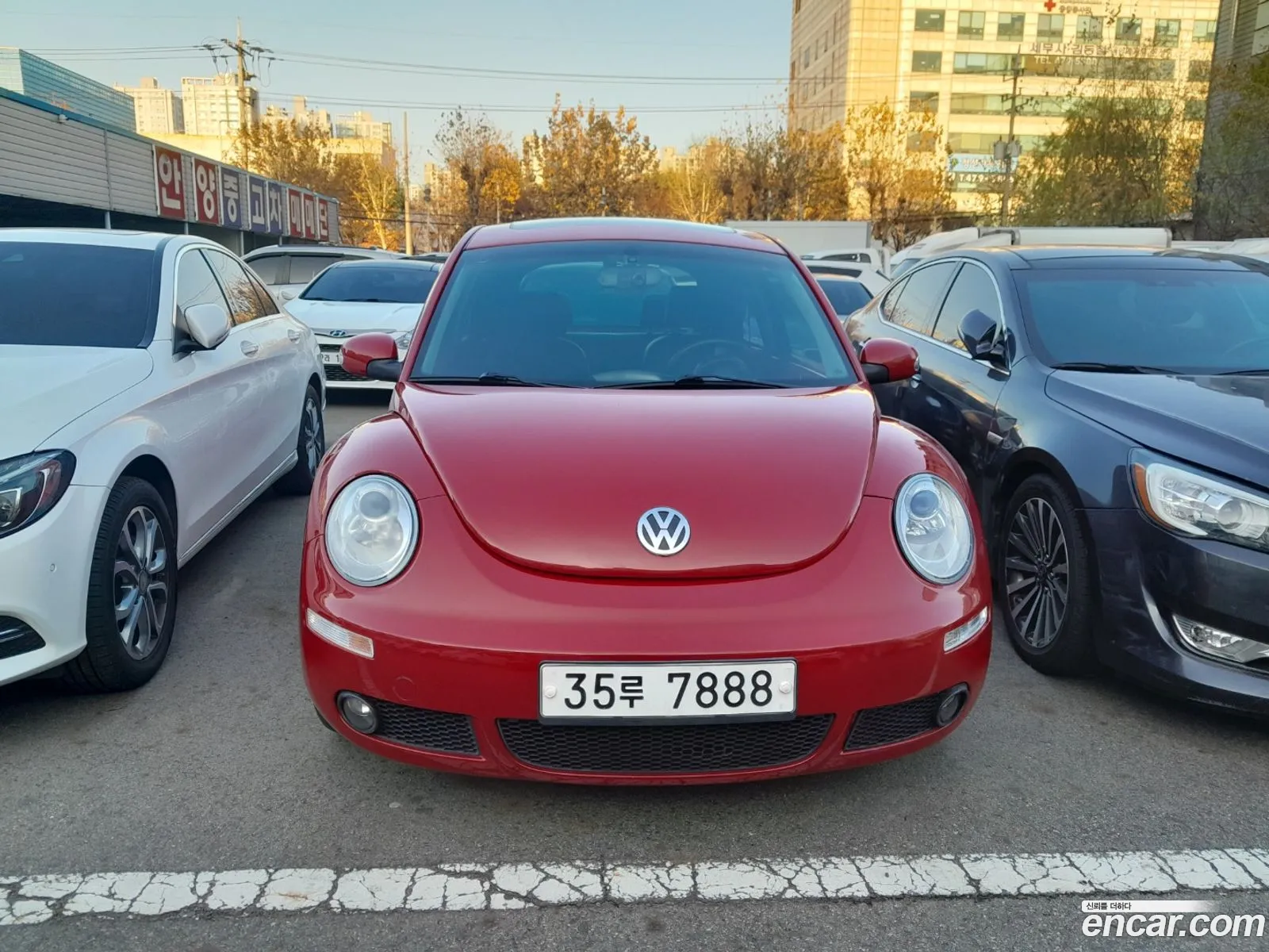 Volkswagen Beetle Ii A5 Gl 20L 2011 - фотография 16148501
