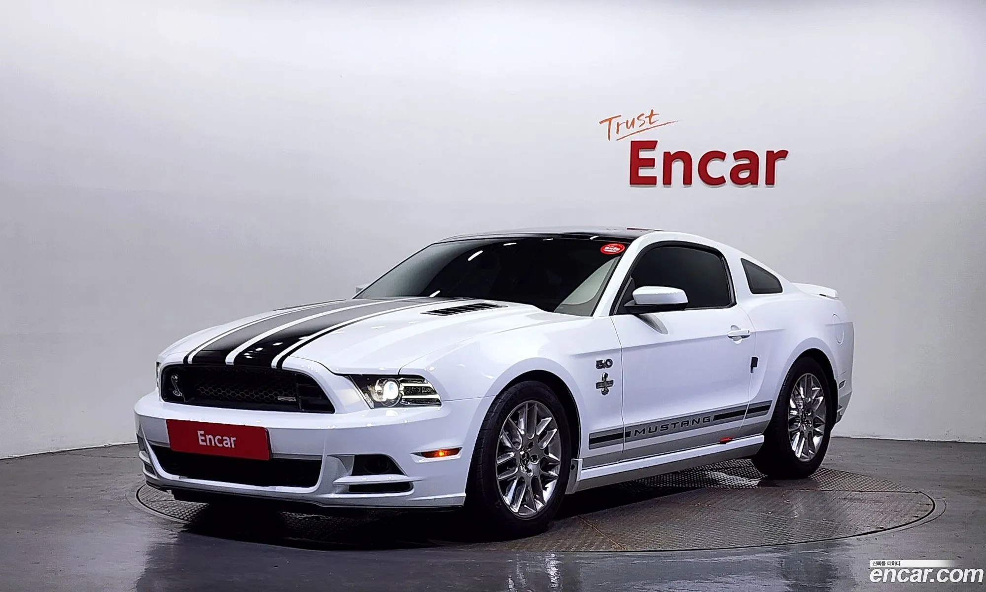 Ford Mustang Coupe 2014 - фотография 14629529