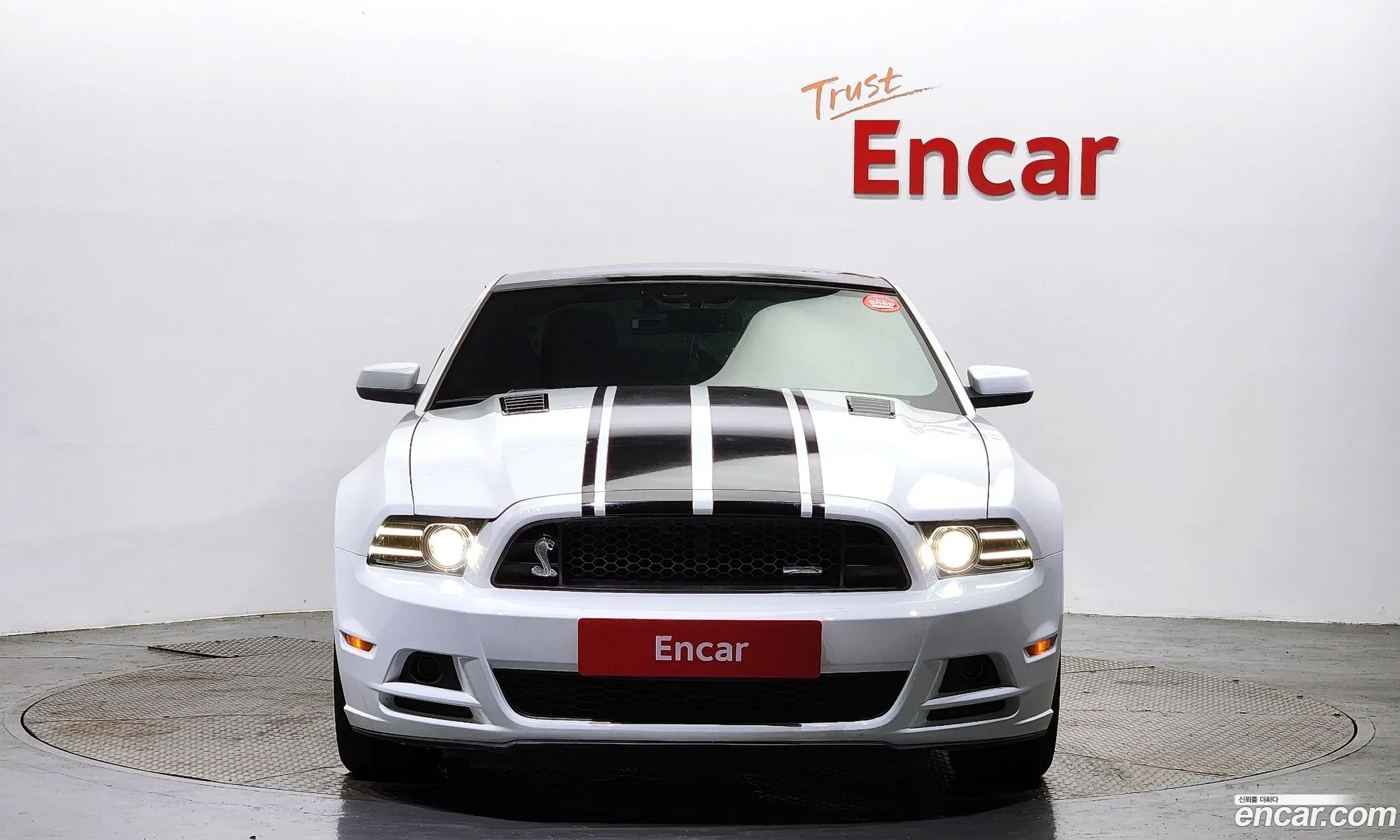 Ford Mustang Coupe 2014 - фотография 14629531