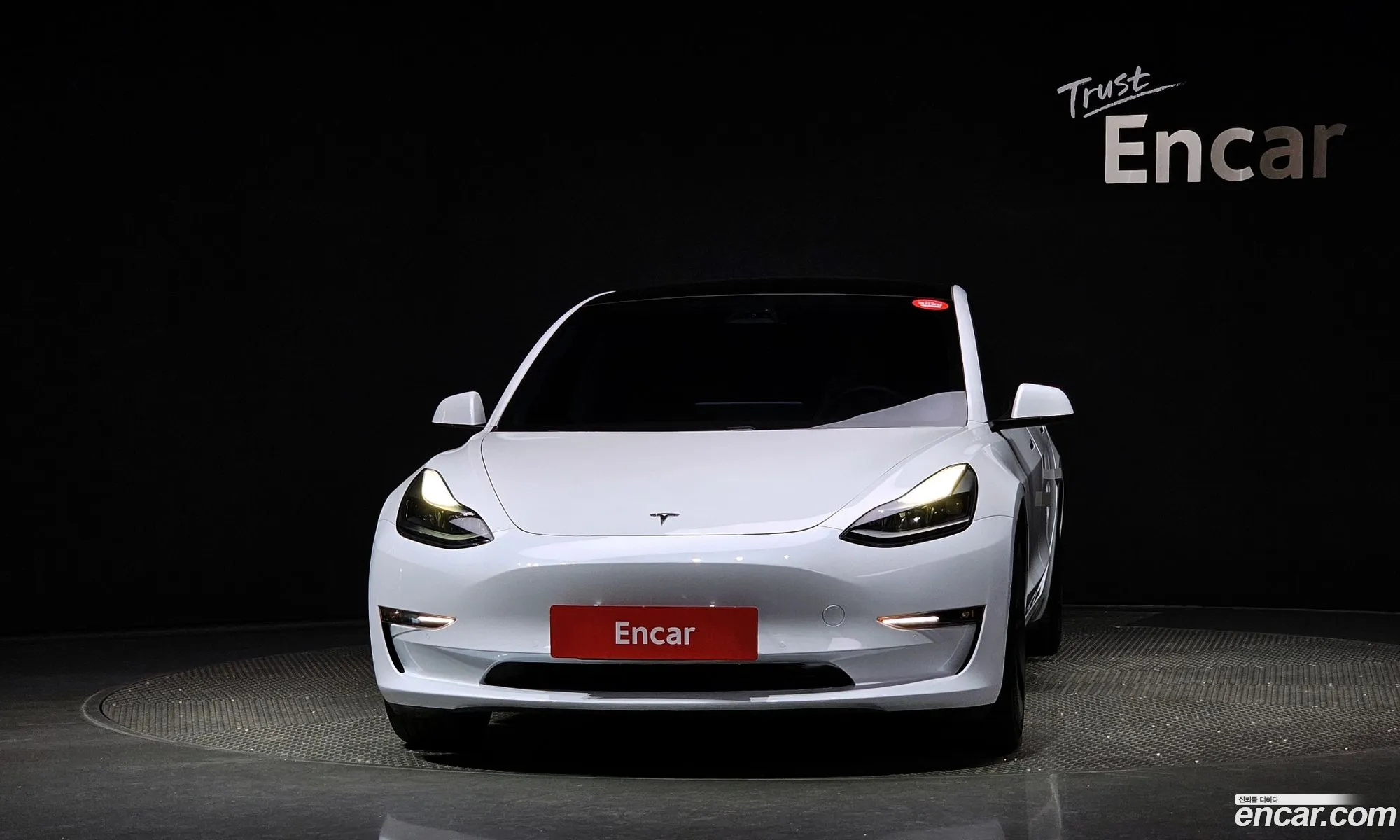 Tesla Model 3 I Long Range 2021 - фотография 3723096