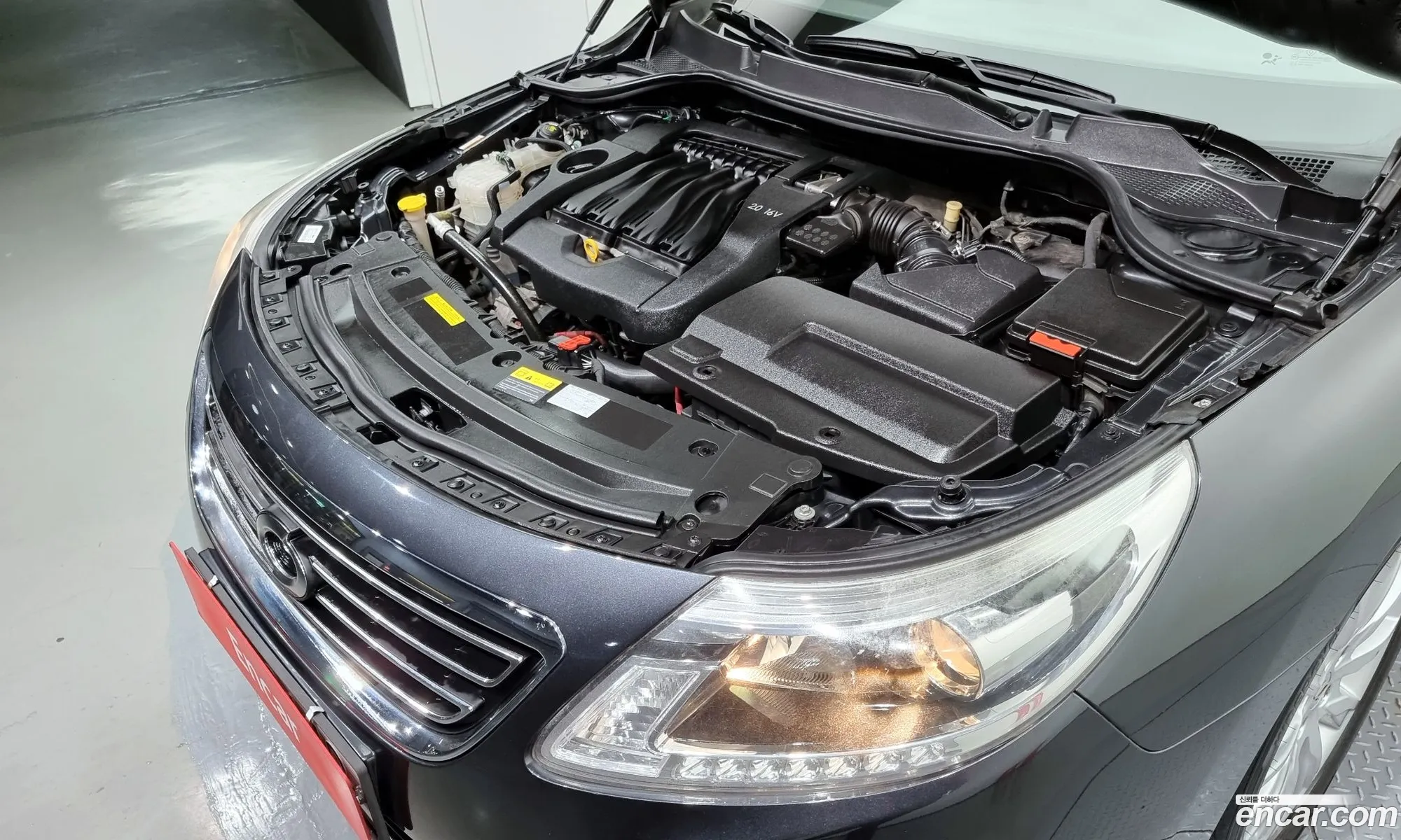 Renault Korea Samsung New Sm5 Platinum Le Basic Type - фотография 7430347