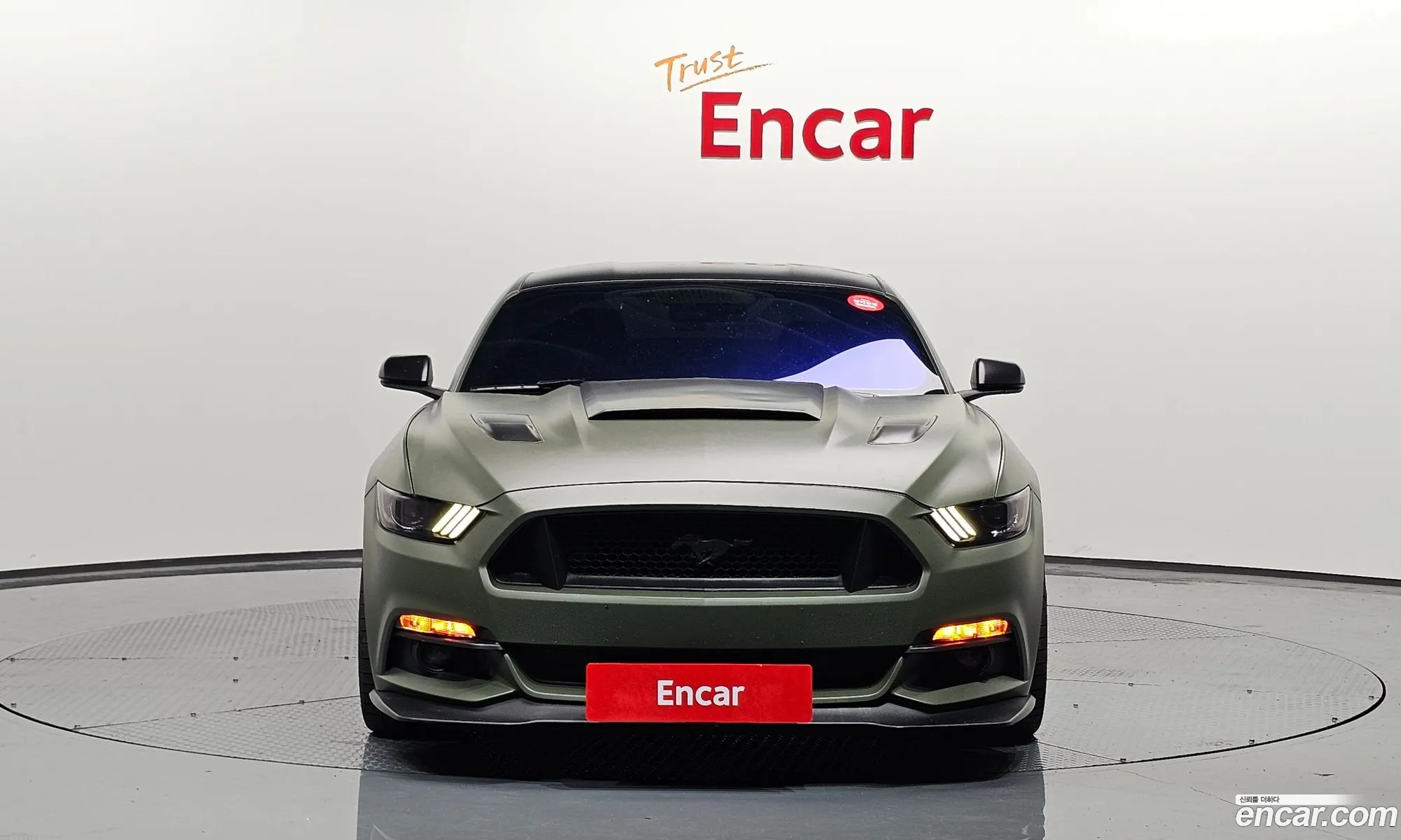 Ford Mustang Vi Gt Coupe 2016 - фотография 14629519