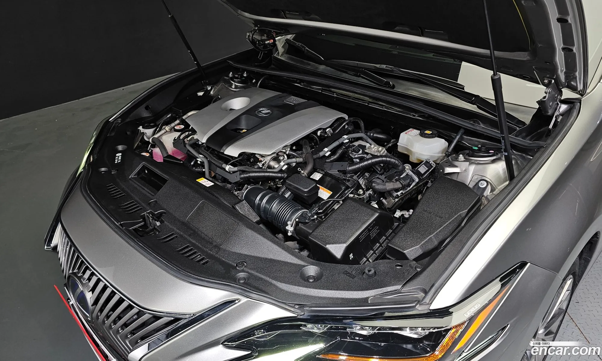 Lexus Es Vii Executive 2019 - фотография 3515392