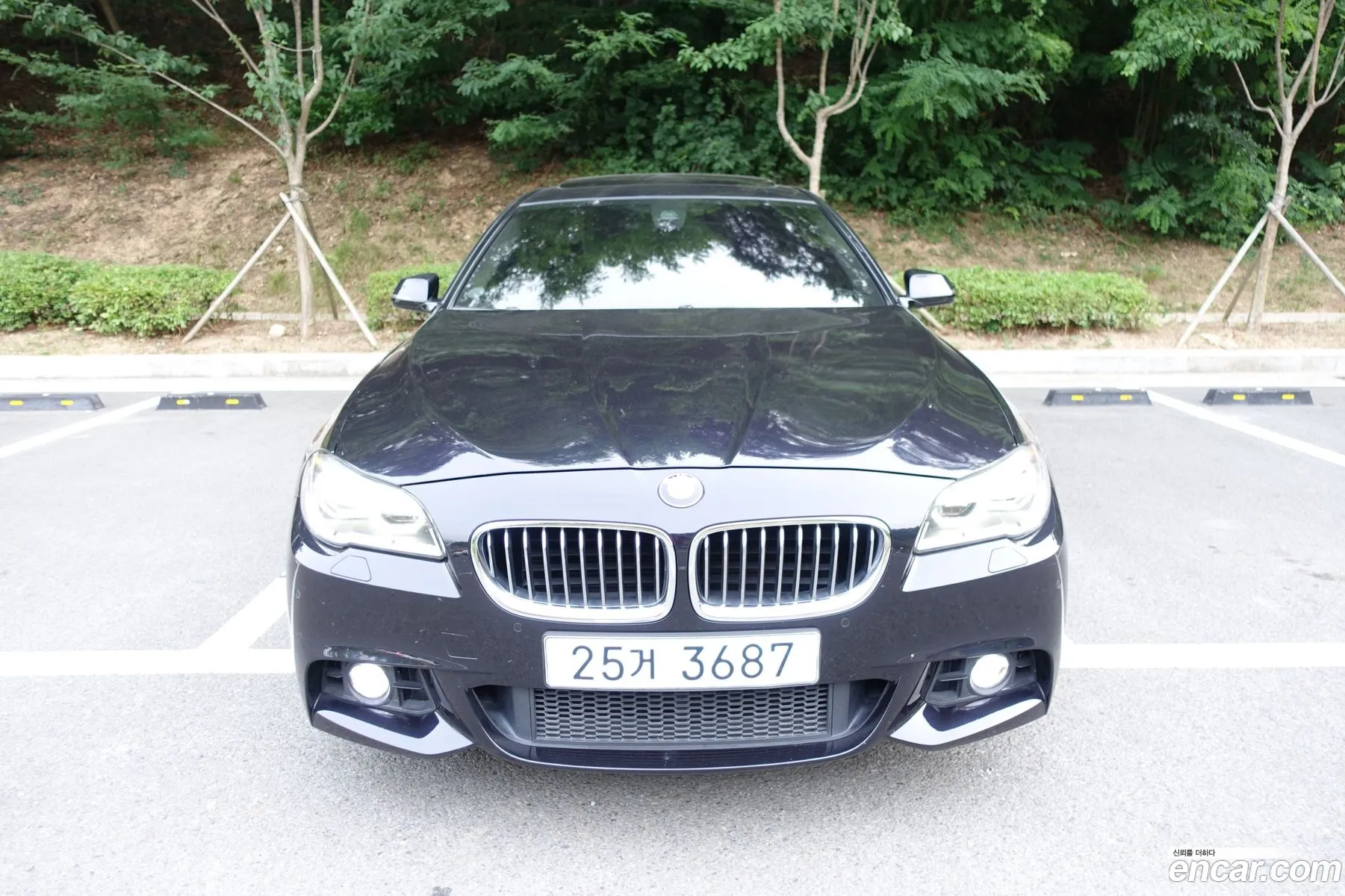 BMW 5Er 520D M Aerodynamic 2016 - фотография 15692103