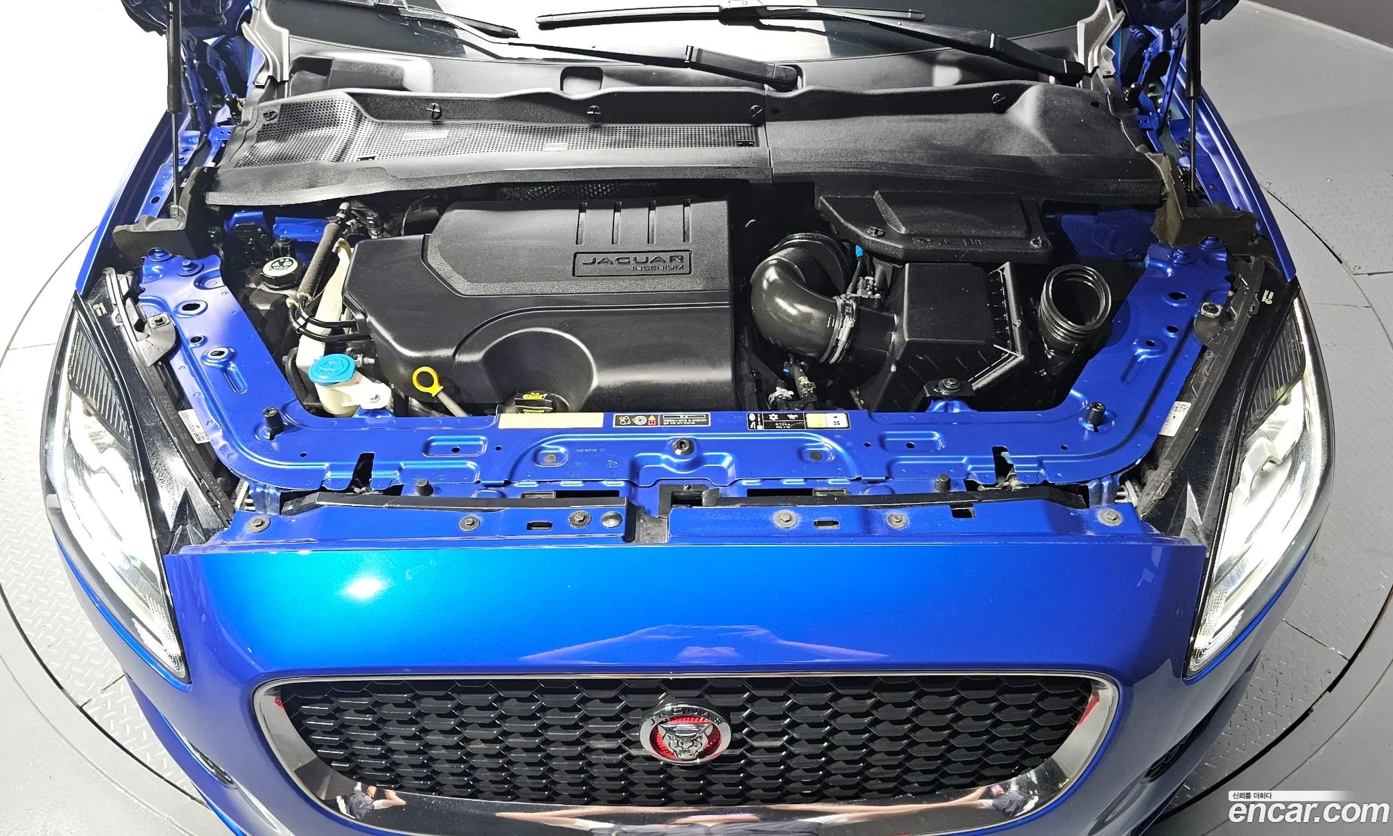 Jaguar E-Pace P250 S - фотография 3739644