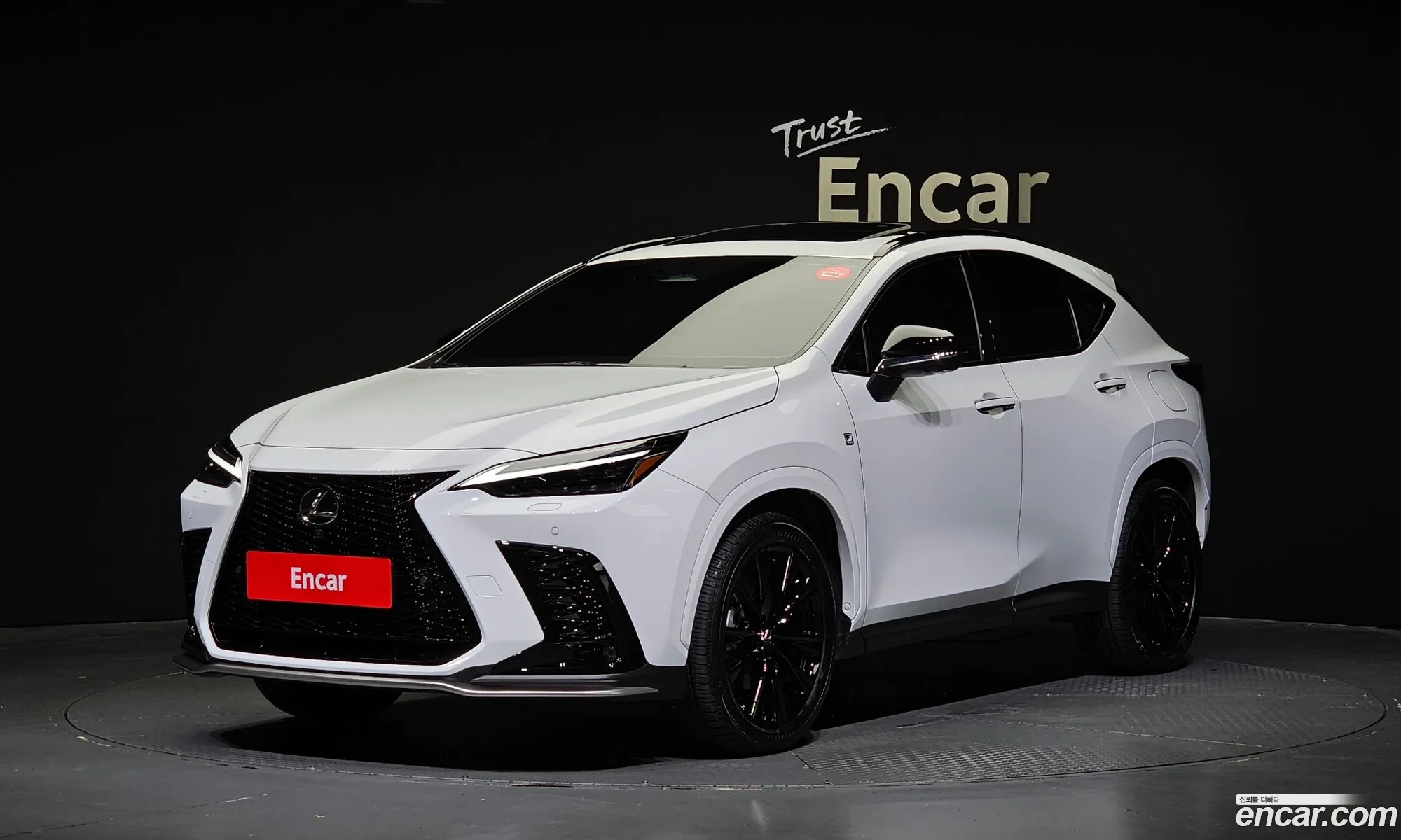 Lexus Nx F-Sport 2024 - фотография 3738500